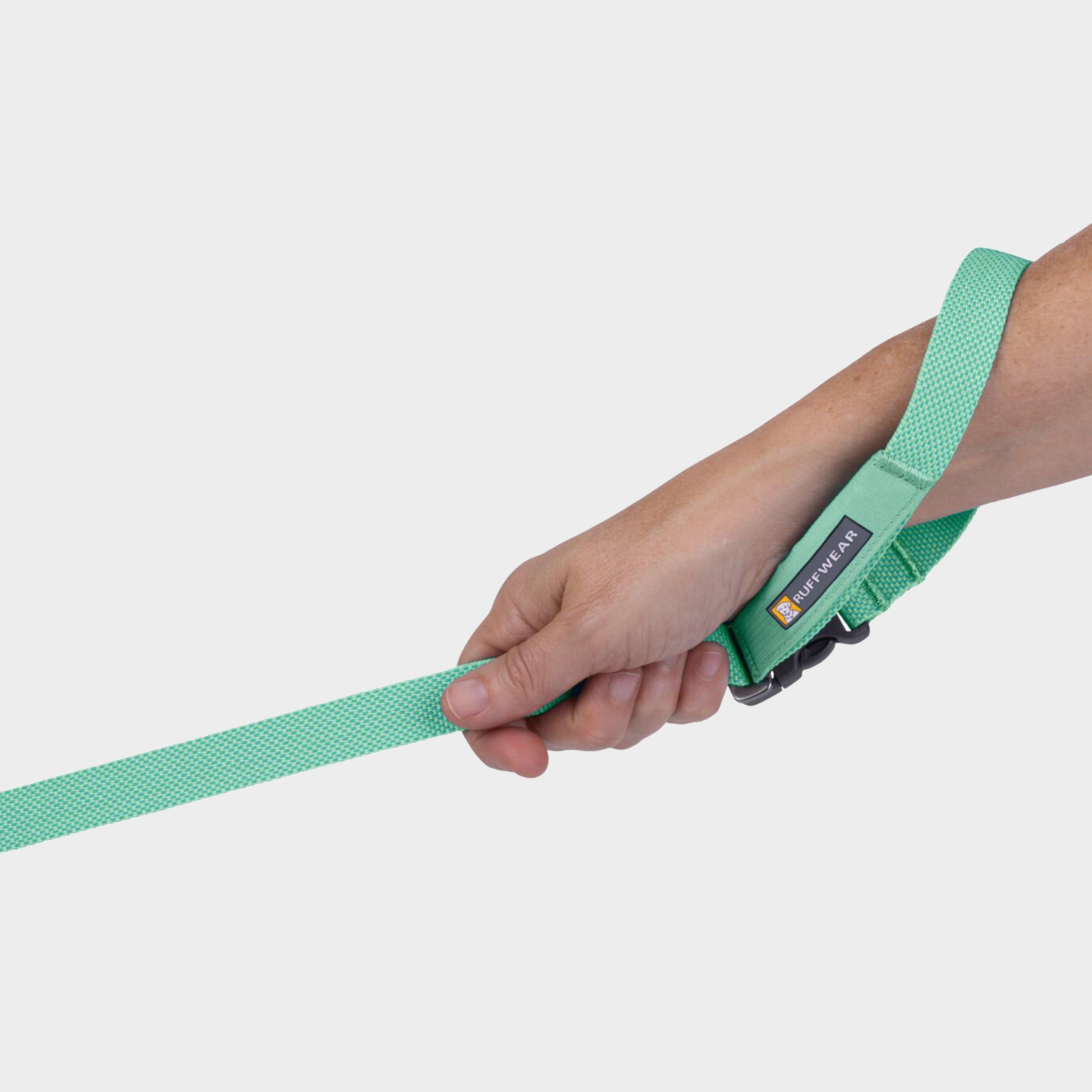 Flagline™ Dog Lead Sage Green