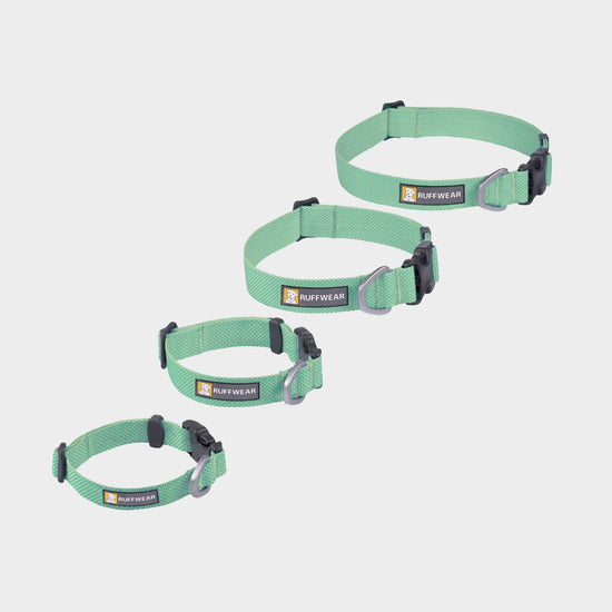 Hi & Light™ Lightweight Dog Collar Sage Green