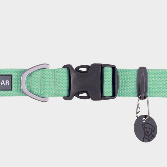 Hi & Light™ Lightweight Dog Collar Sage Green