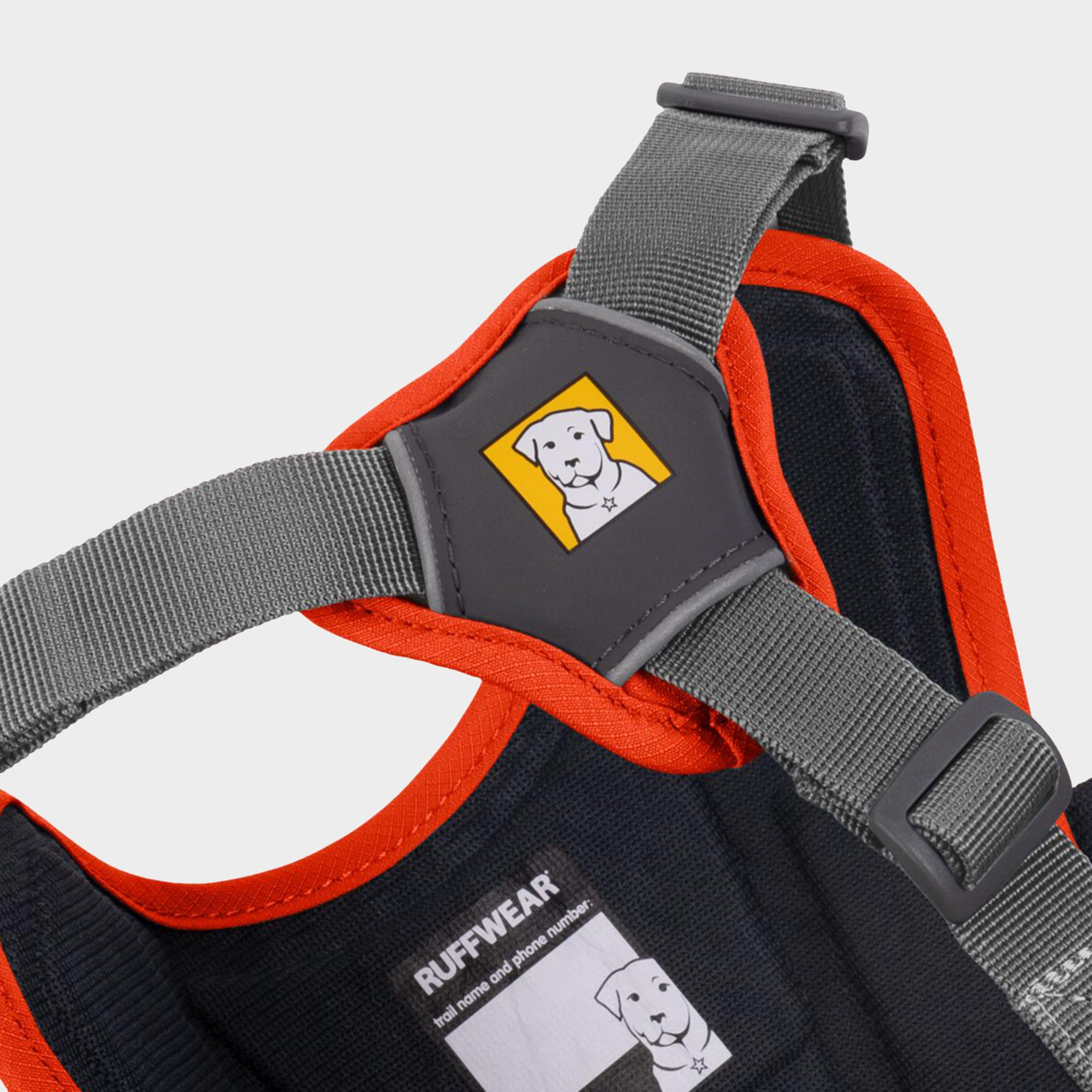 Web Master Dog Harness With Handle Blaze Orange