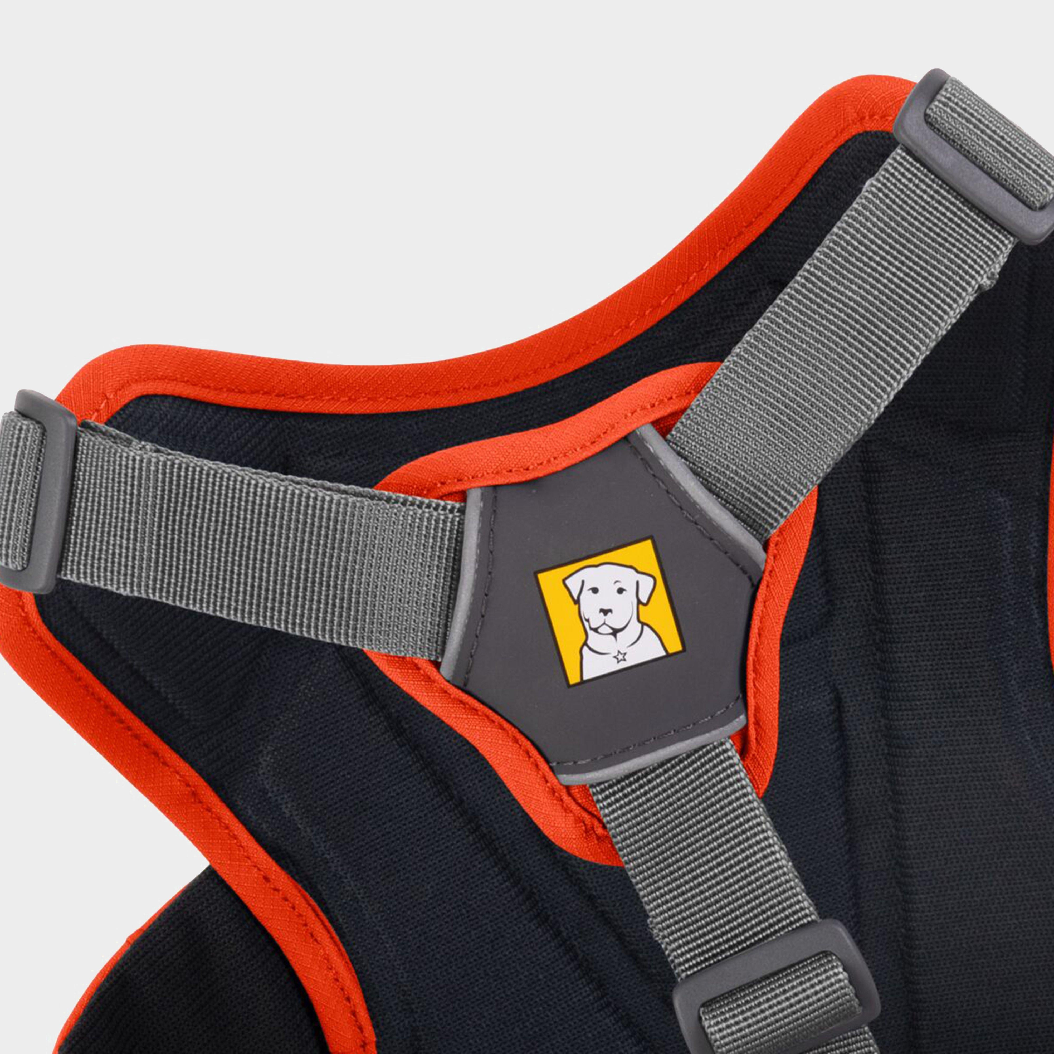 Web Master Dog Harness With Handle Blaze Orange