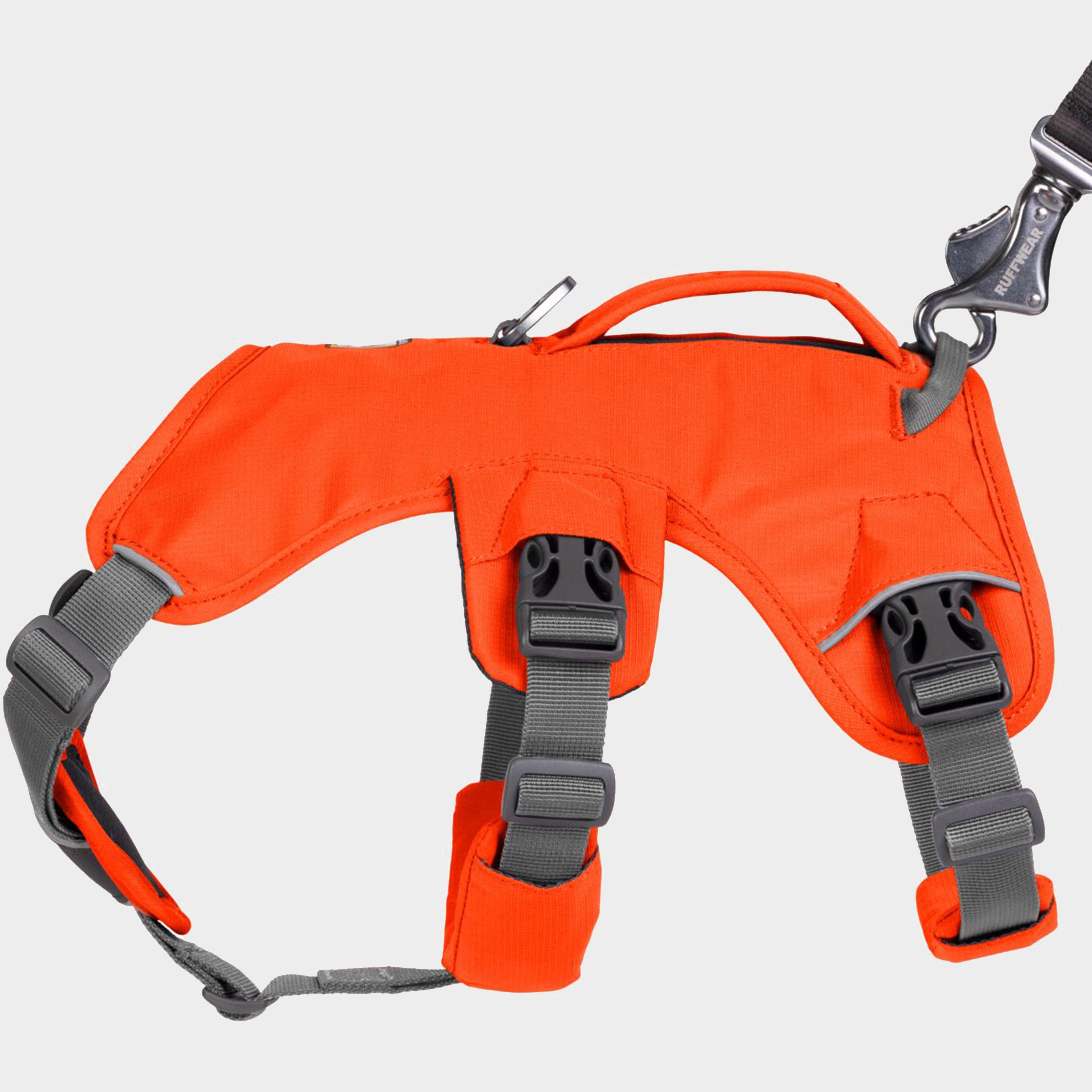 Web Master Dog Harness With Handle Blaze Orange