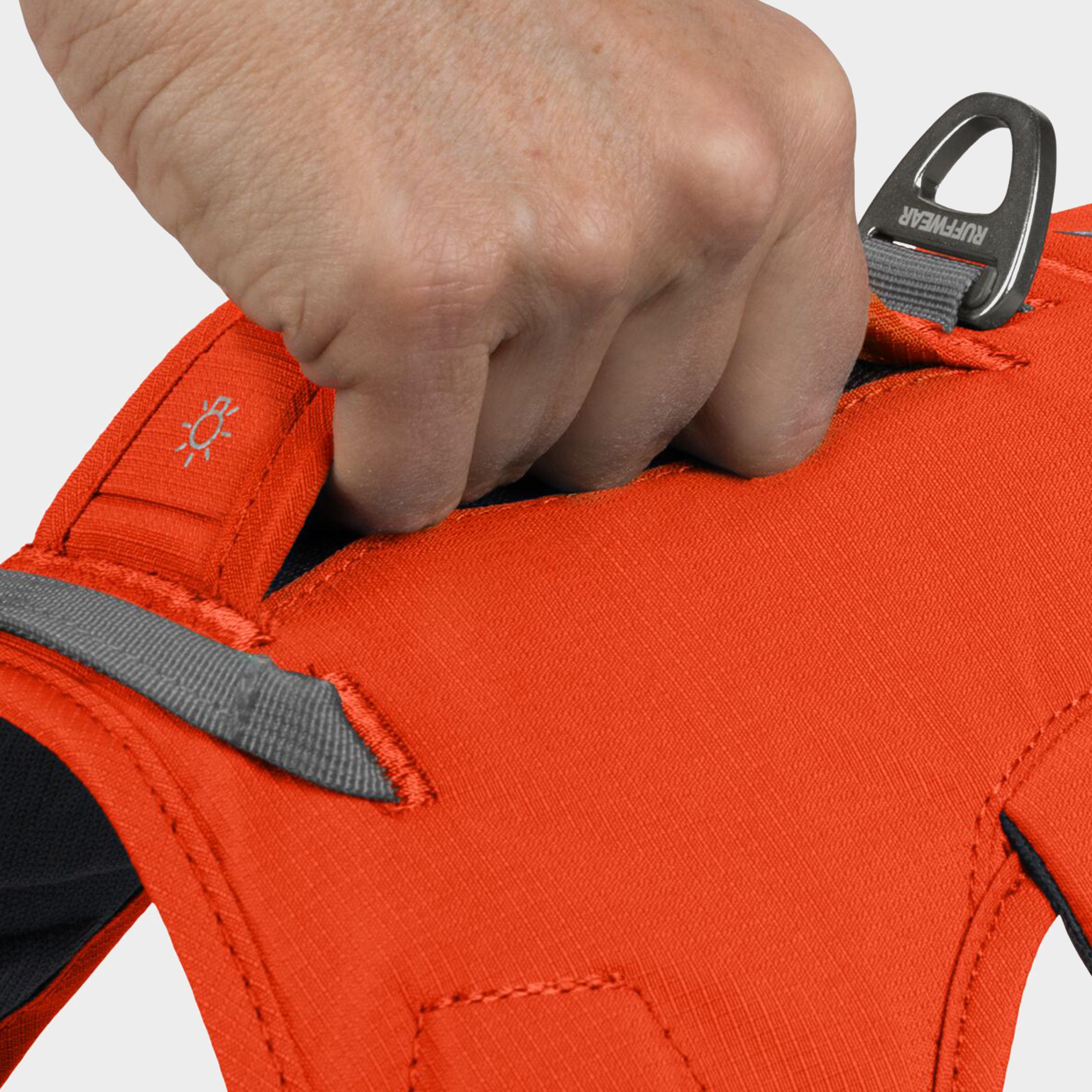 Web Master Dog Harness With Handle Blaze Orange