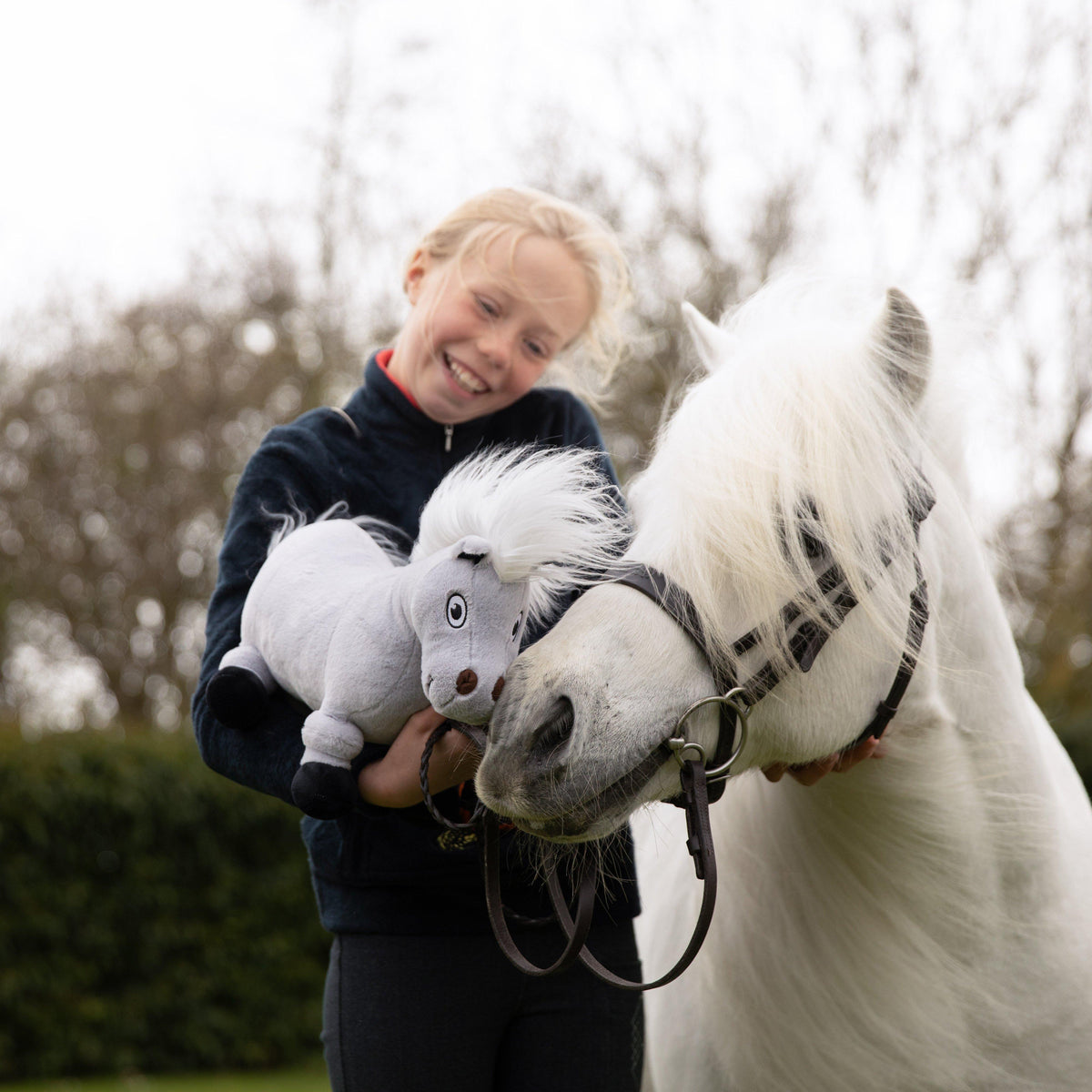 Thelwell Ponies Tarquin the Pony