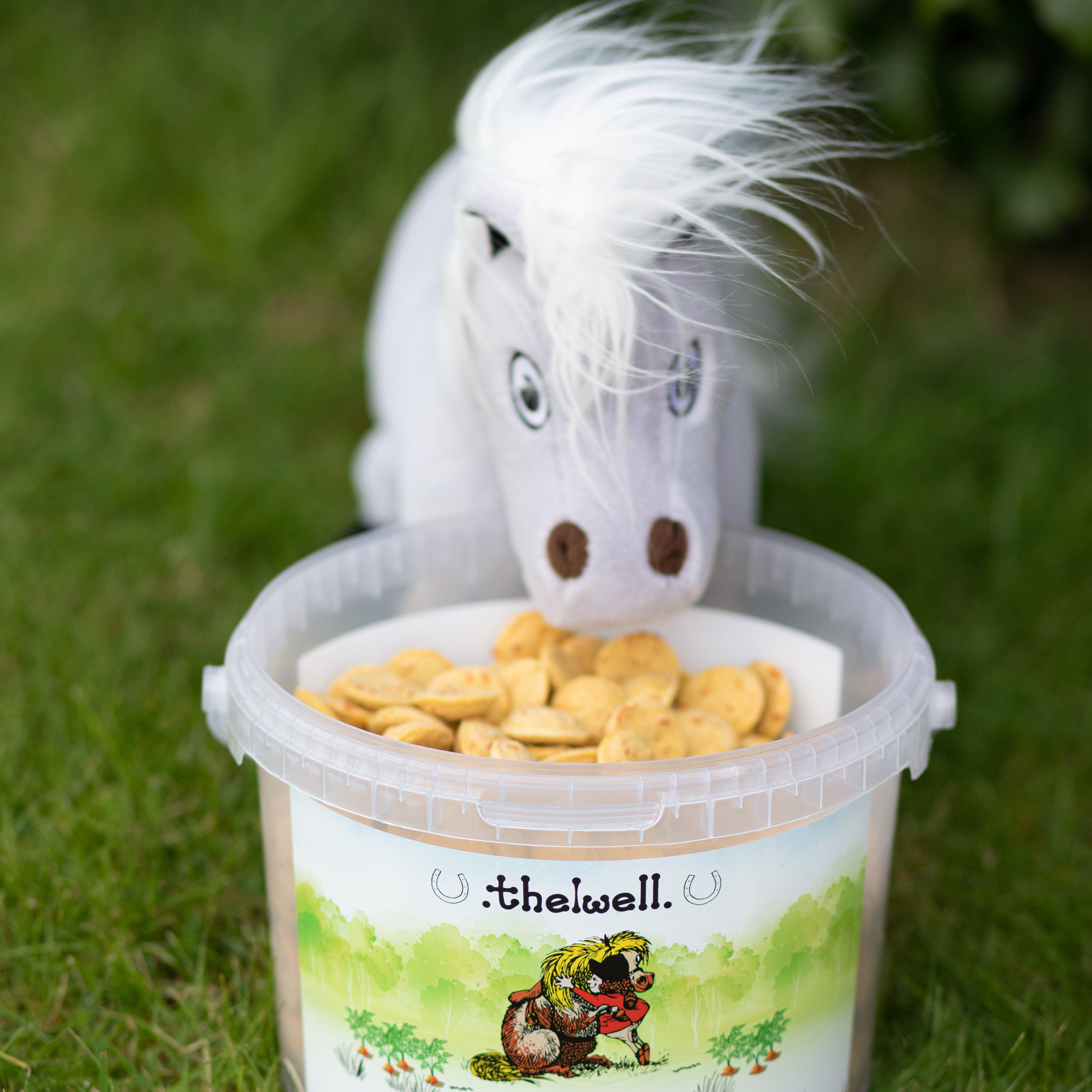 Thelwell Ponies Tarquin the Pony