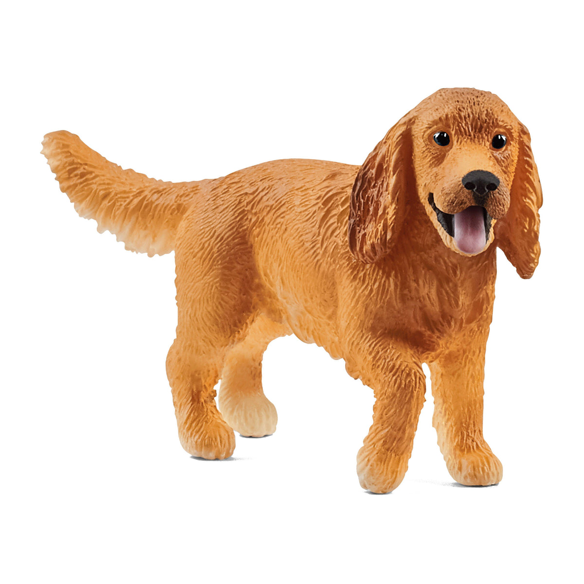 English Cocker Spaniel