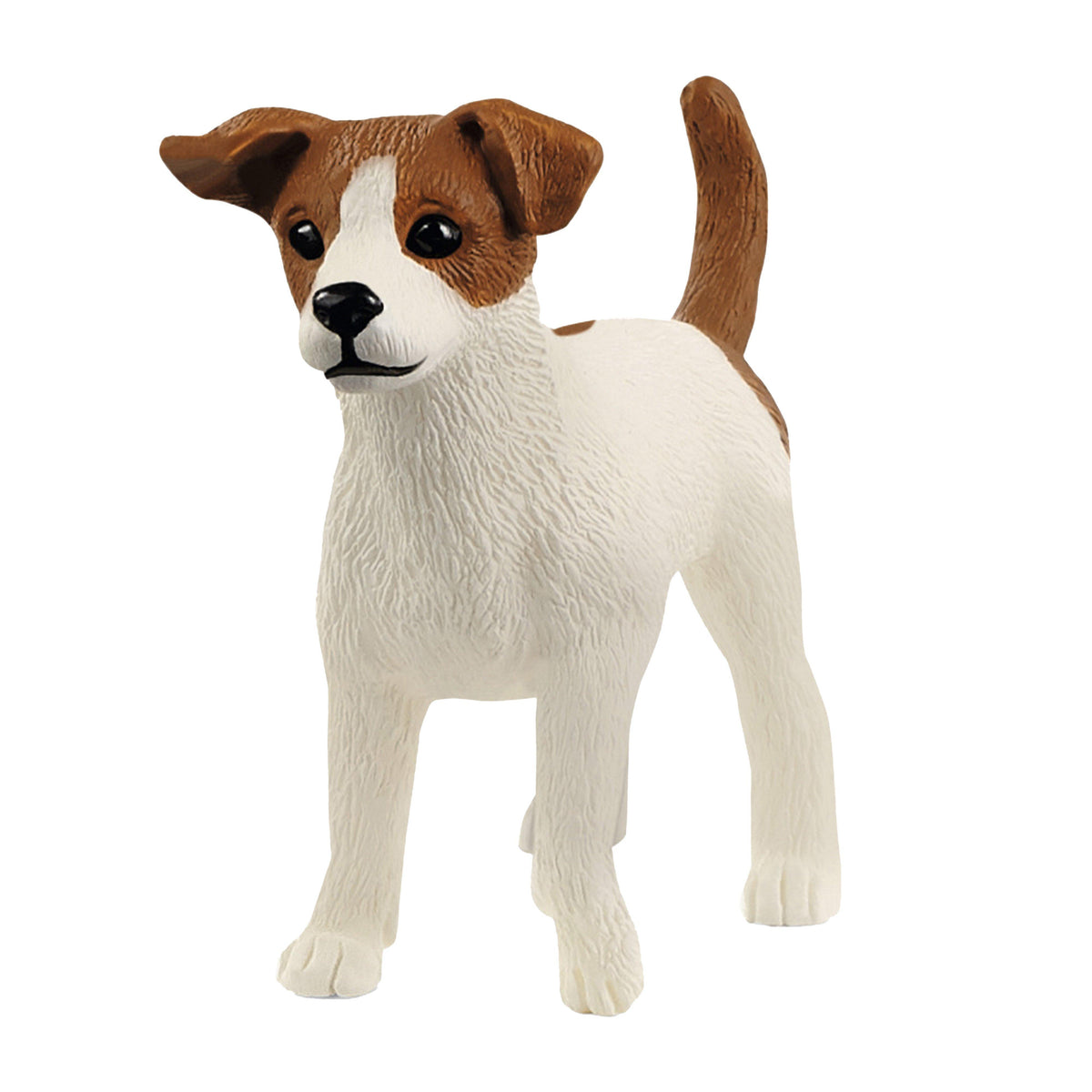 Jack Russel