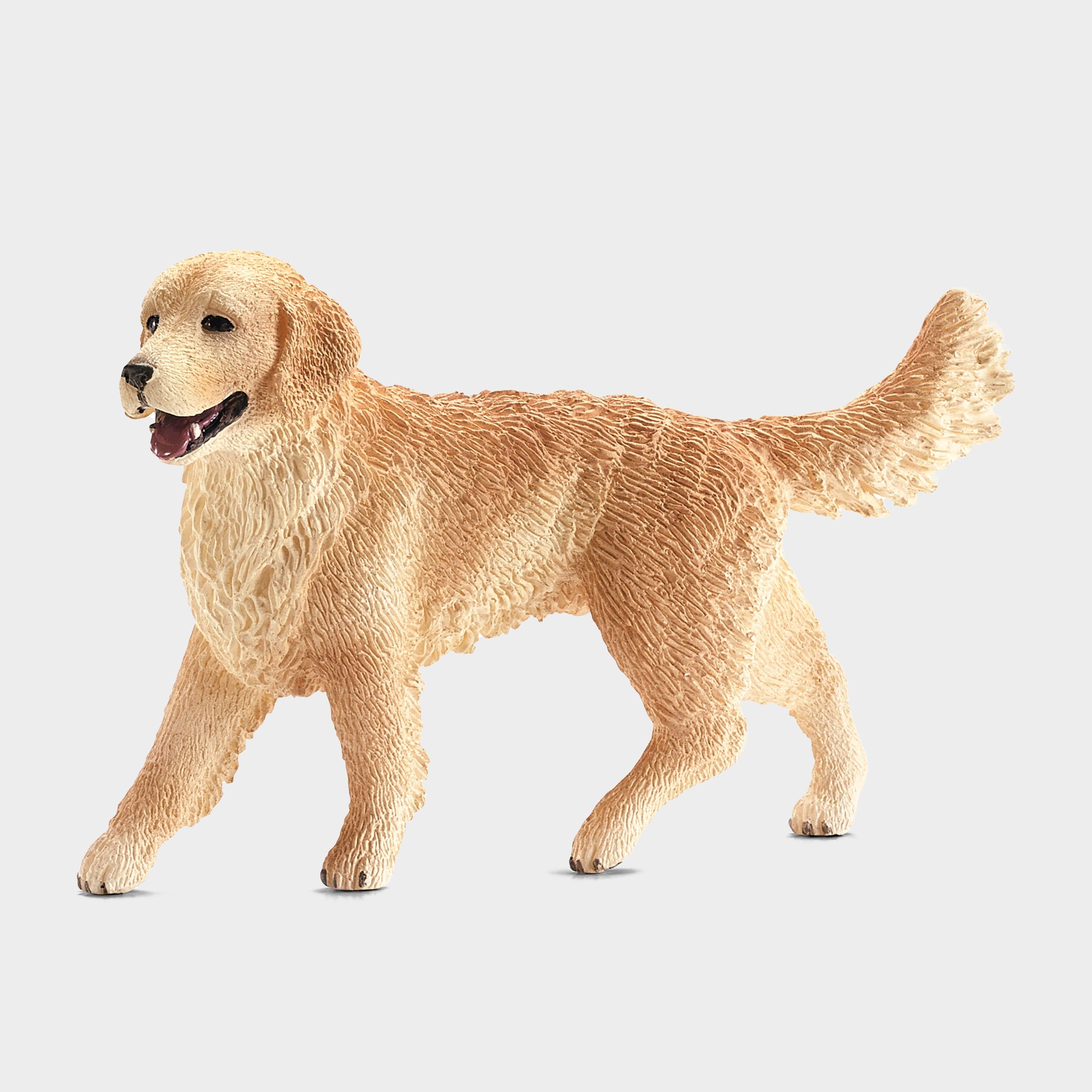 Female Golden Retriever