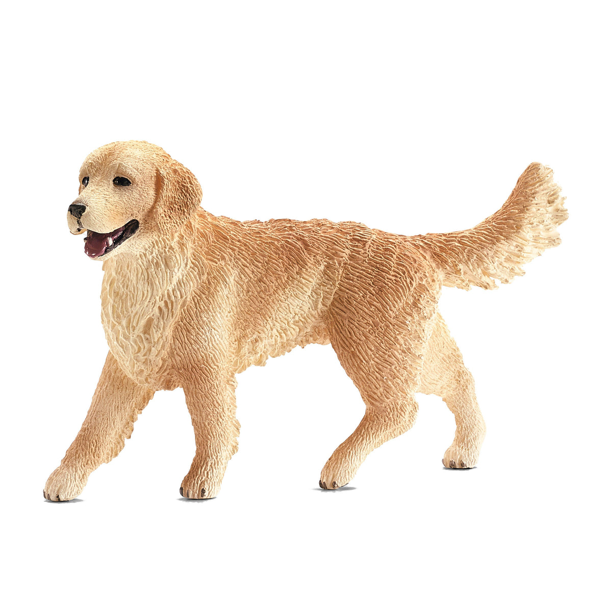 Female Golden Retriever