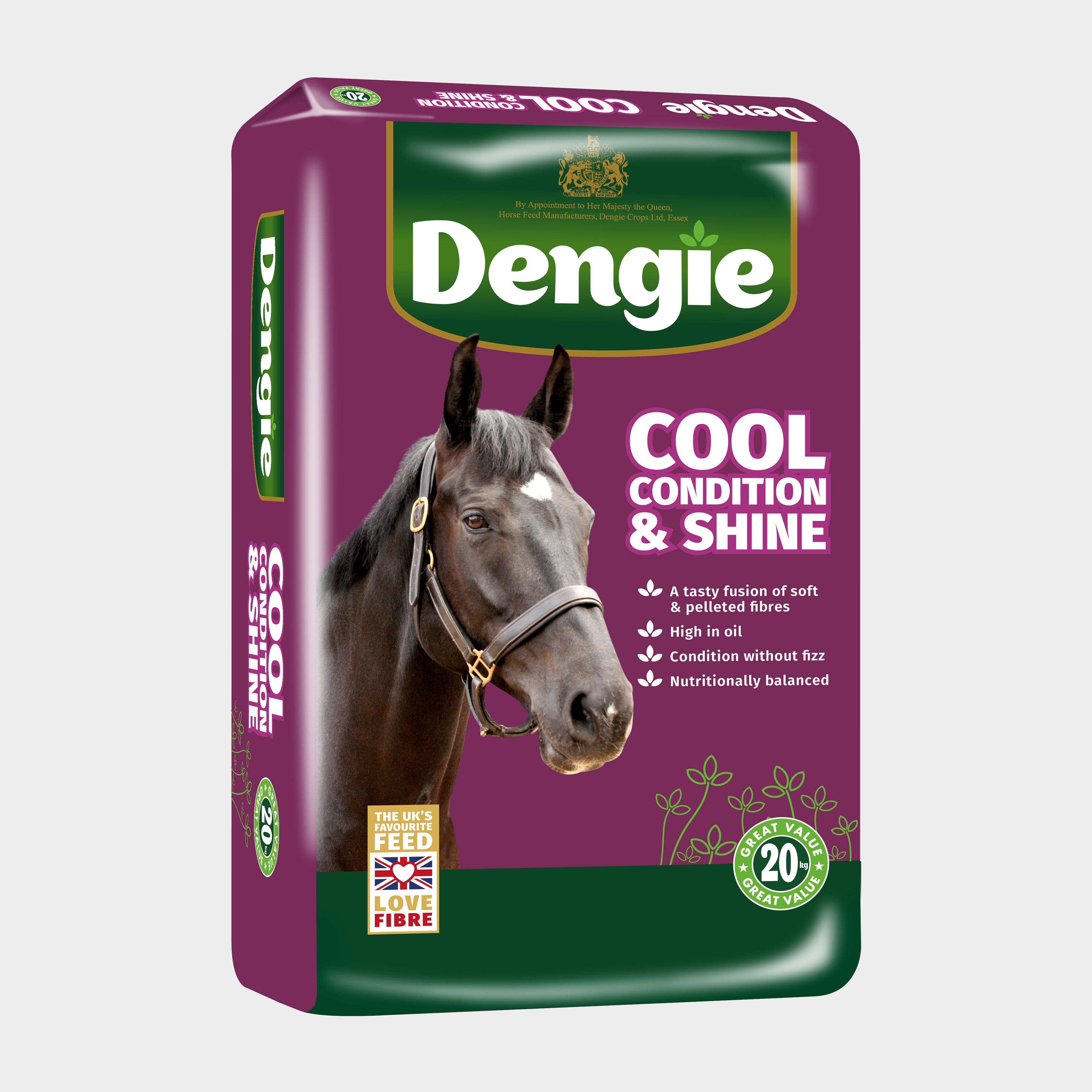 Cool, Condition & Shine