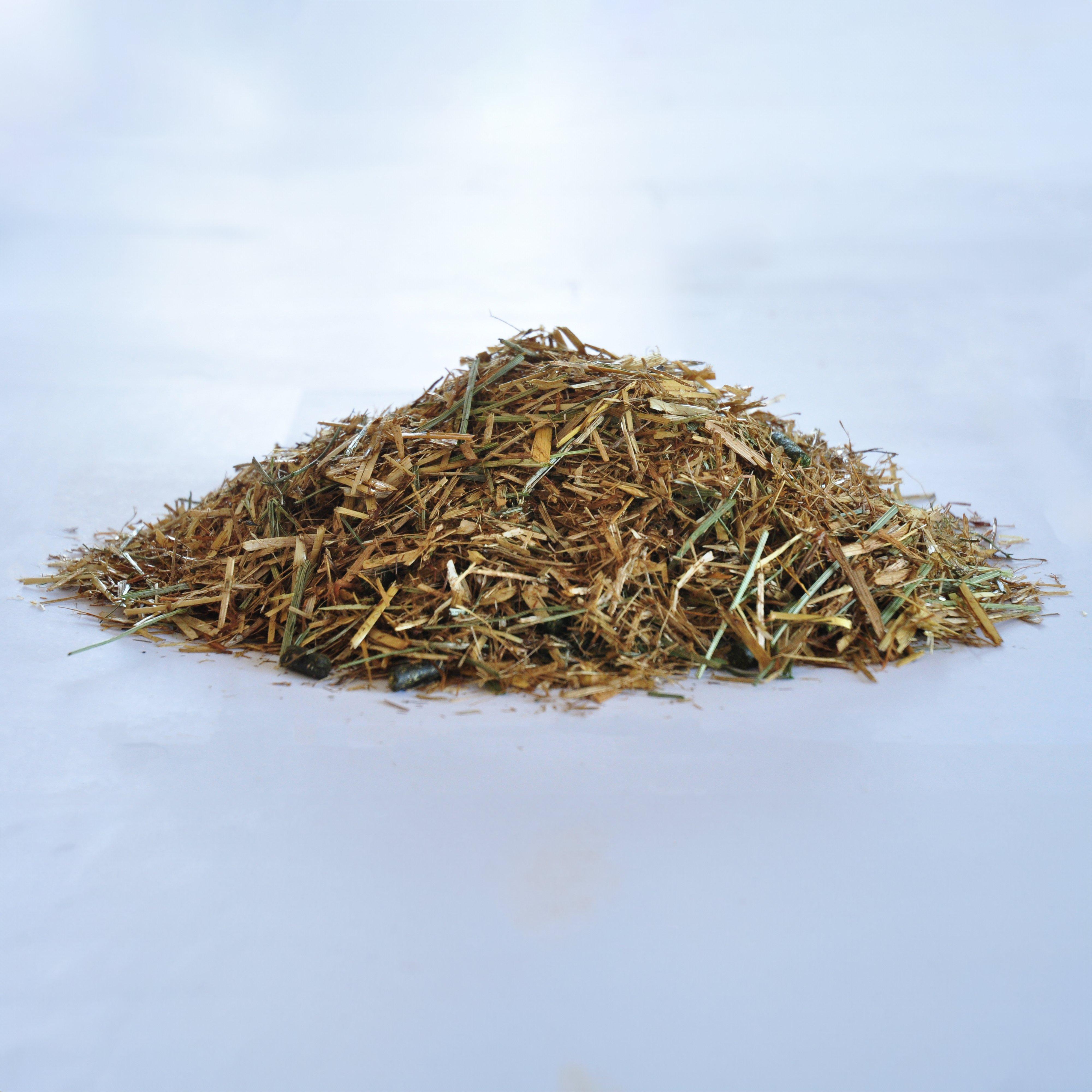 Cool, Condition & Shine