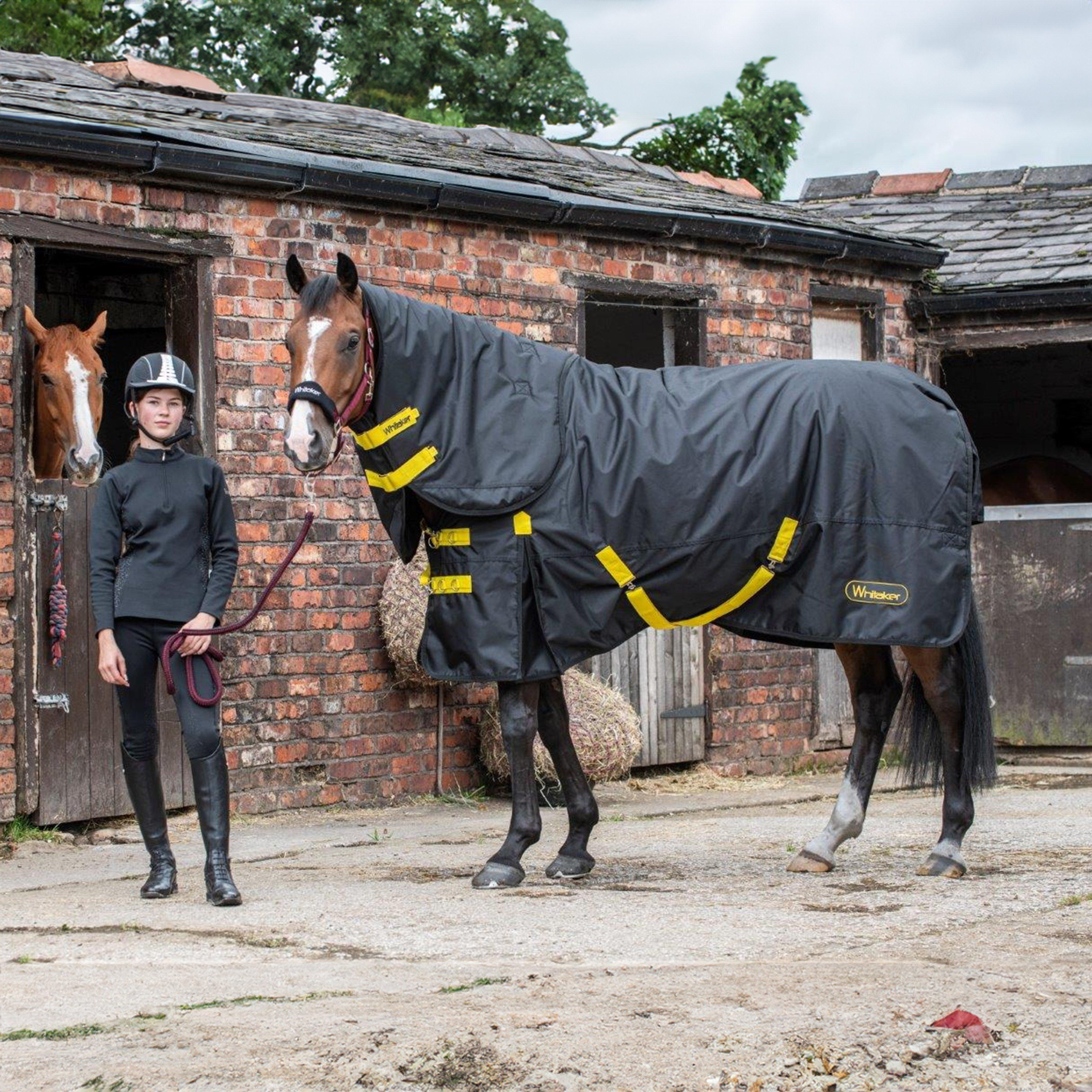 Ludworth Medium Weight 200g Detach-A-Neck Turnout Rug Black/Yellow