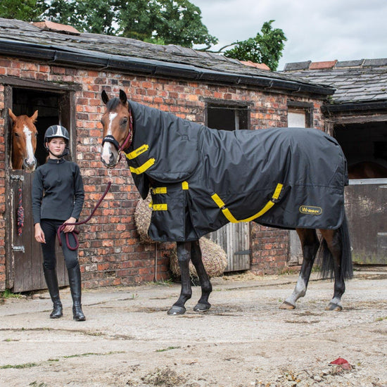 Ludworth Medium Weight 200g Detach-A-Neck Turnout Rug Black/Yellow