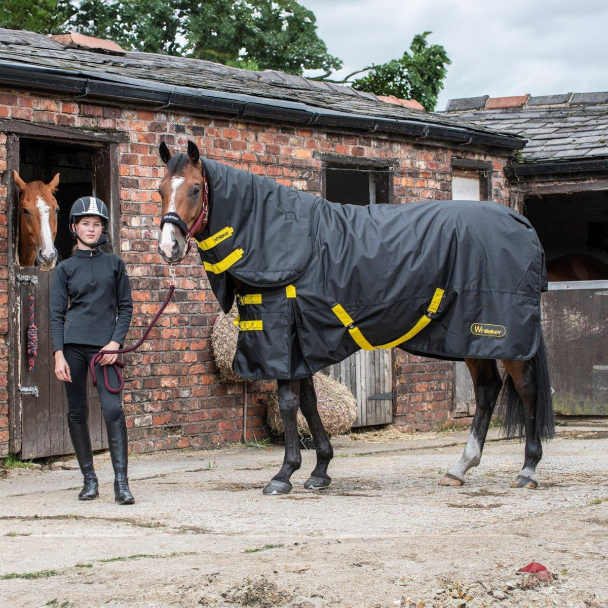 Ludworth Medium Weight 200g Detach-A-Neck Turnout Rug Black/Yellow