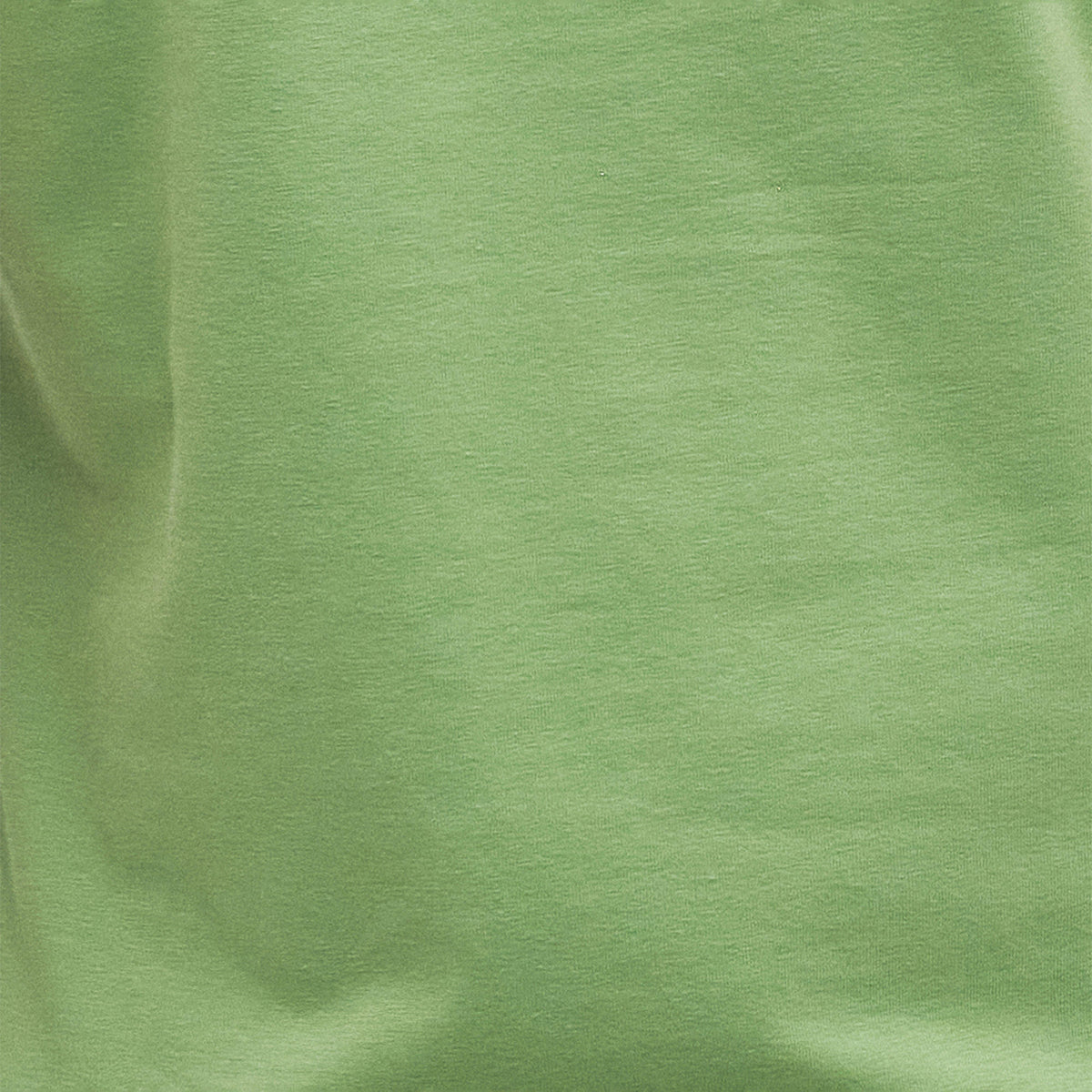 Womens Otterburn T-Shirt Nephrite Green