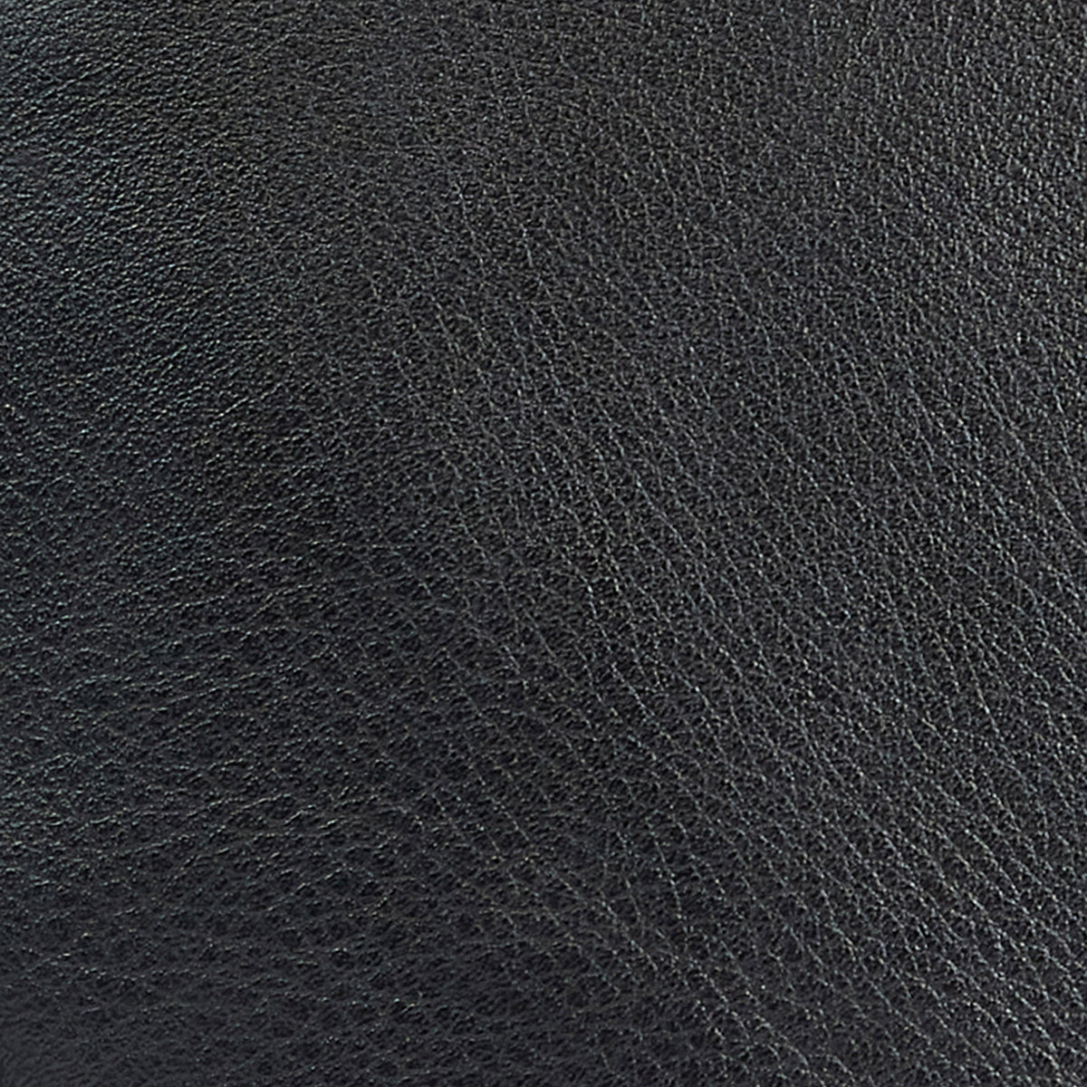 Womens Laire Medium Saddle Bag Classic Black