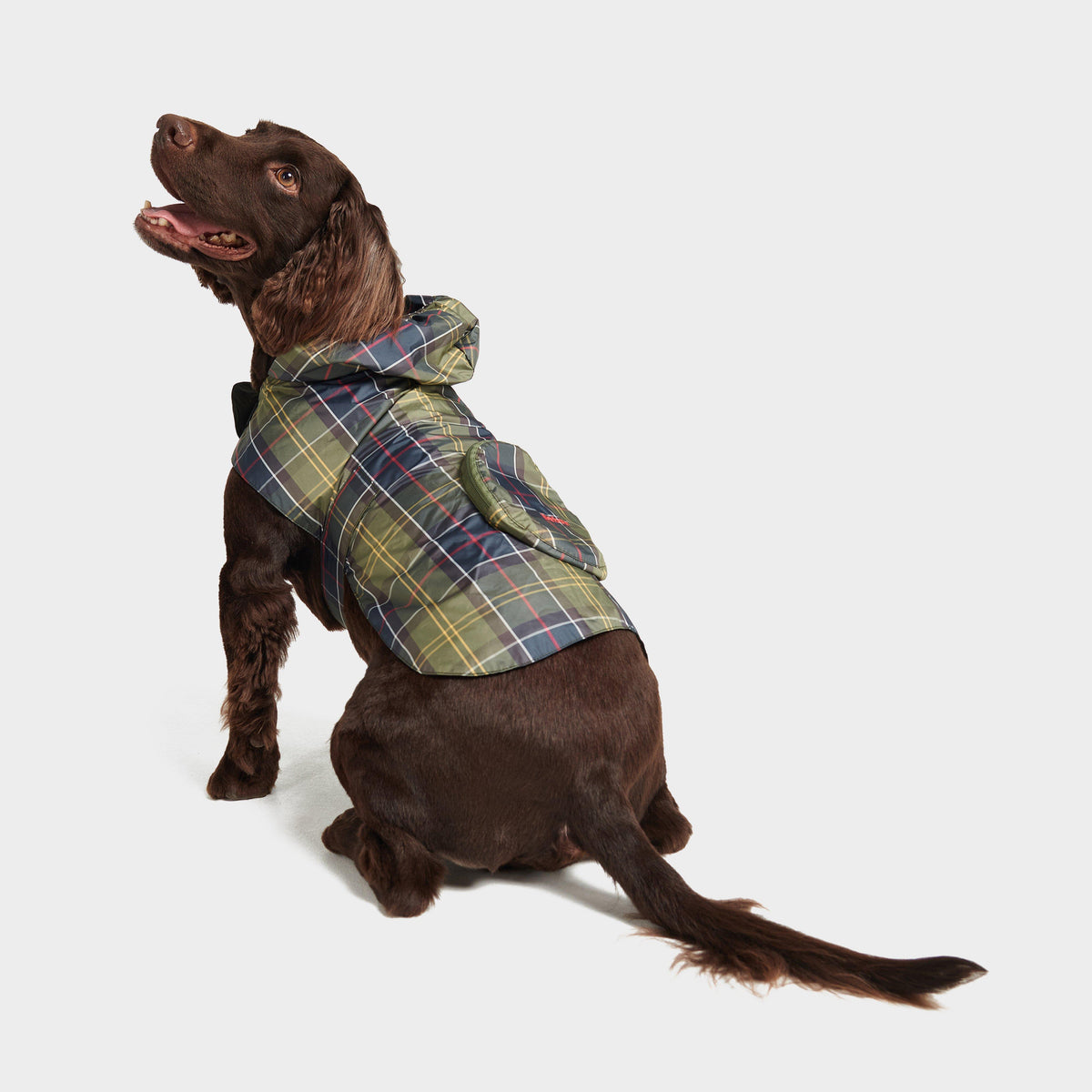 Packable Tartan Dog Coat classic Tartan
