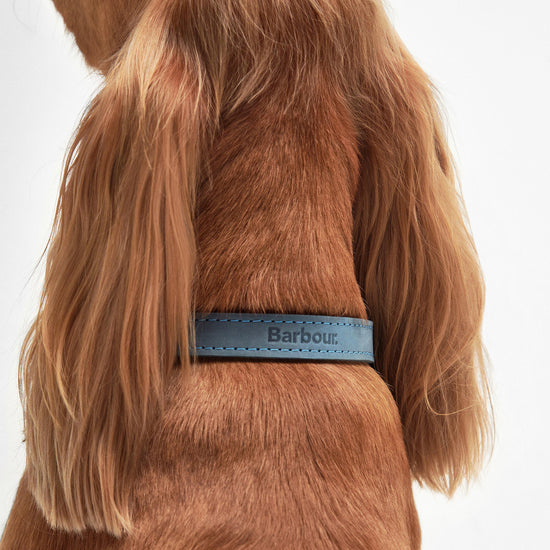 Leather Dog Collar Classic Blue