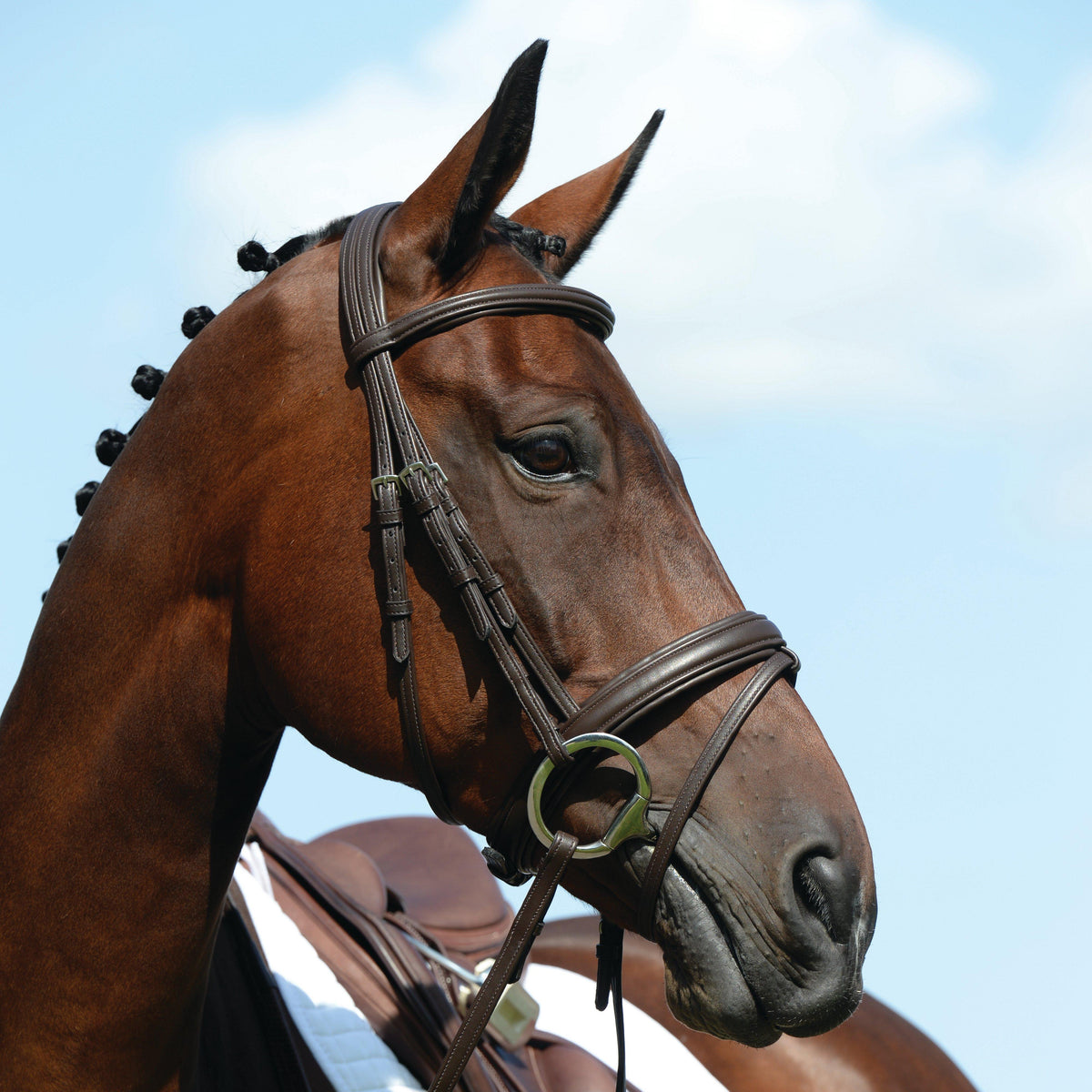 Syntovia+ Padded Raised Flash Bridle Black