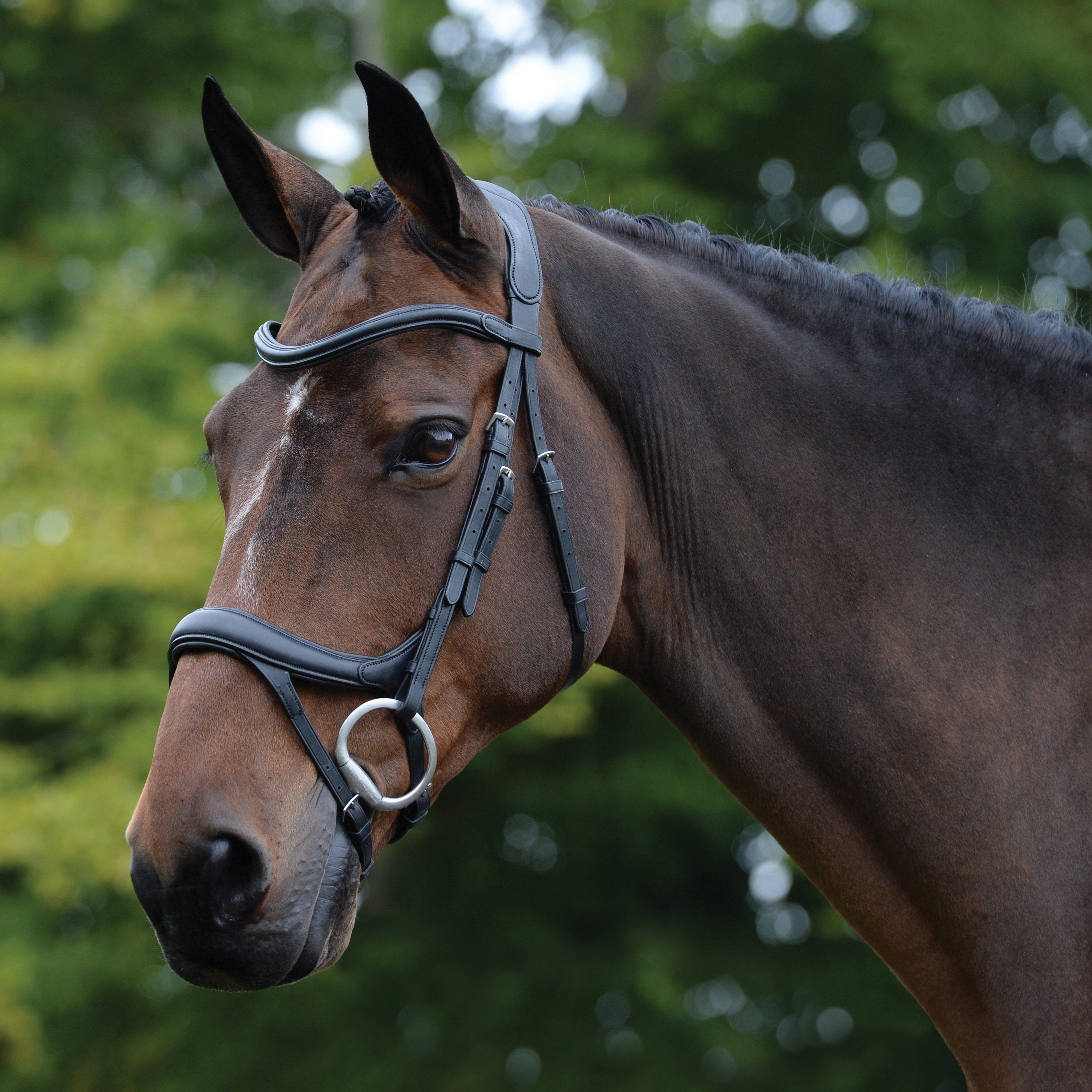 ComFiTec Vogue Anatomical Bridle Black