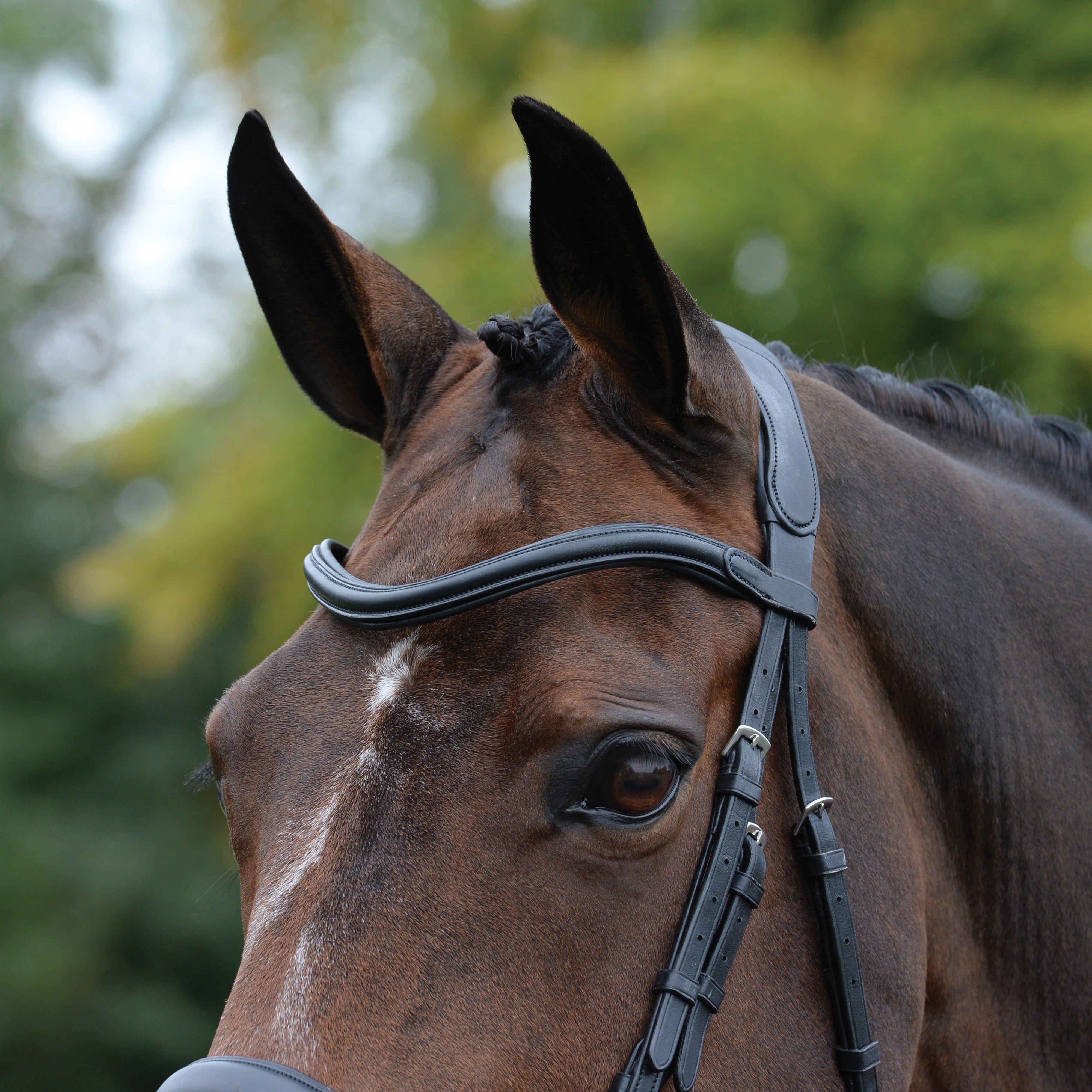 ComFiTec Vogue Anatomical Bridle Black