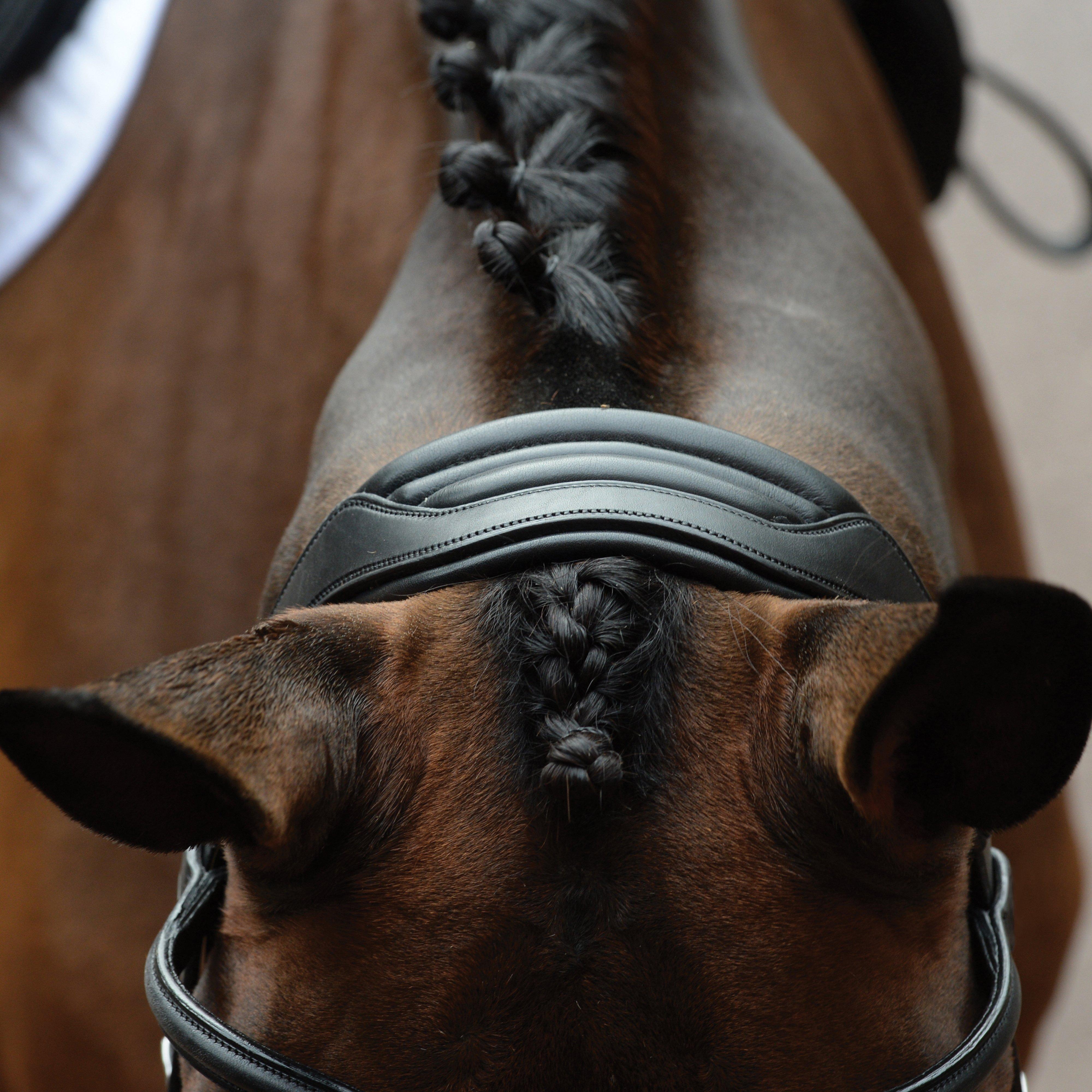 ComFiTec Vogue Anatomical Bridle Black