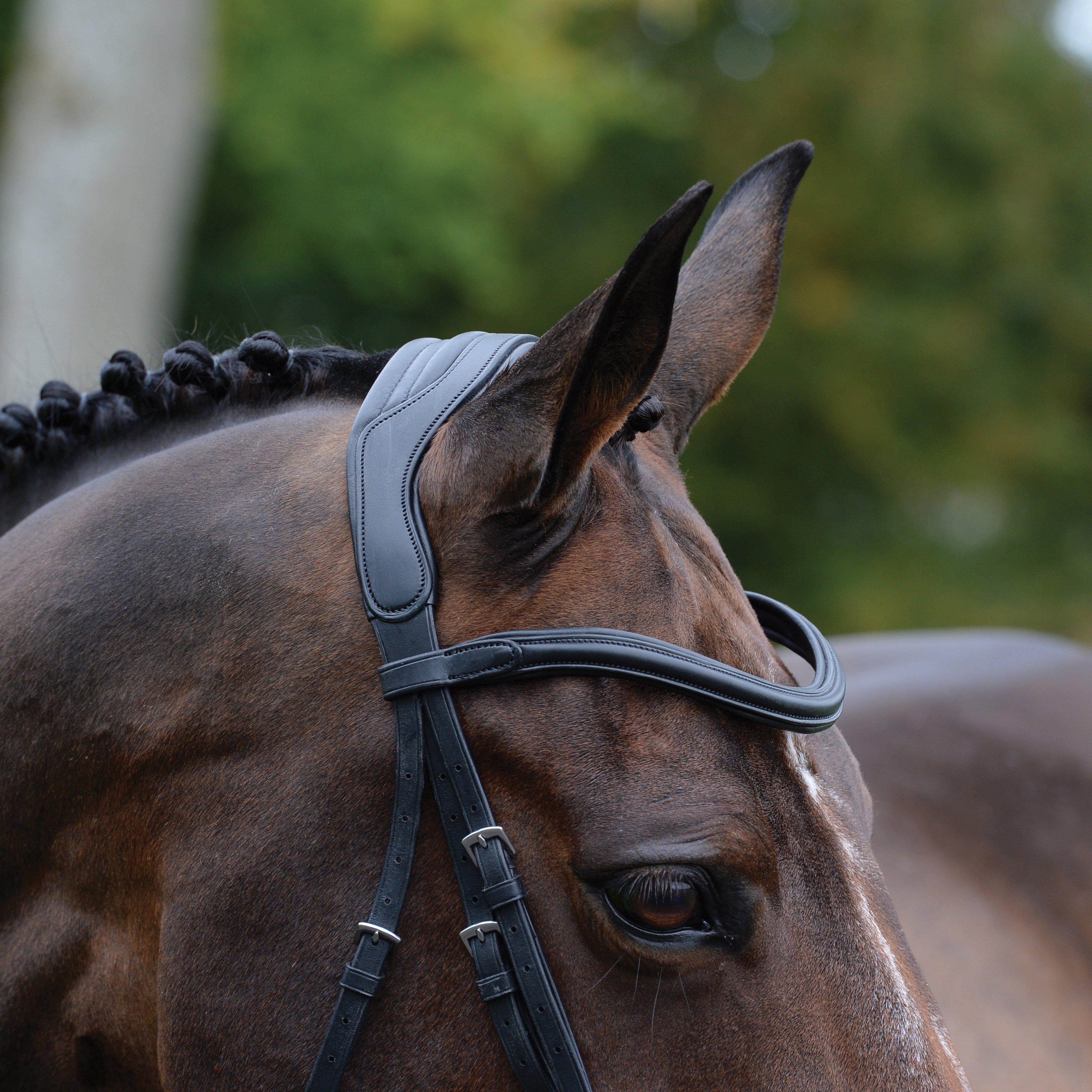ComFiTec Vogue Anatomical Bridle Black