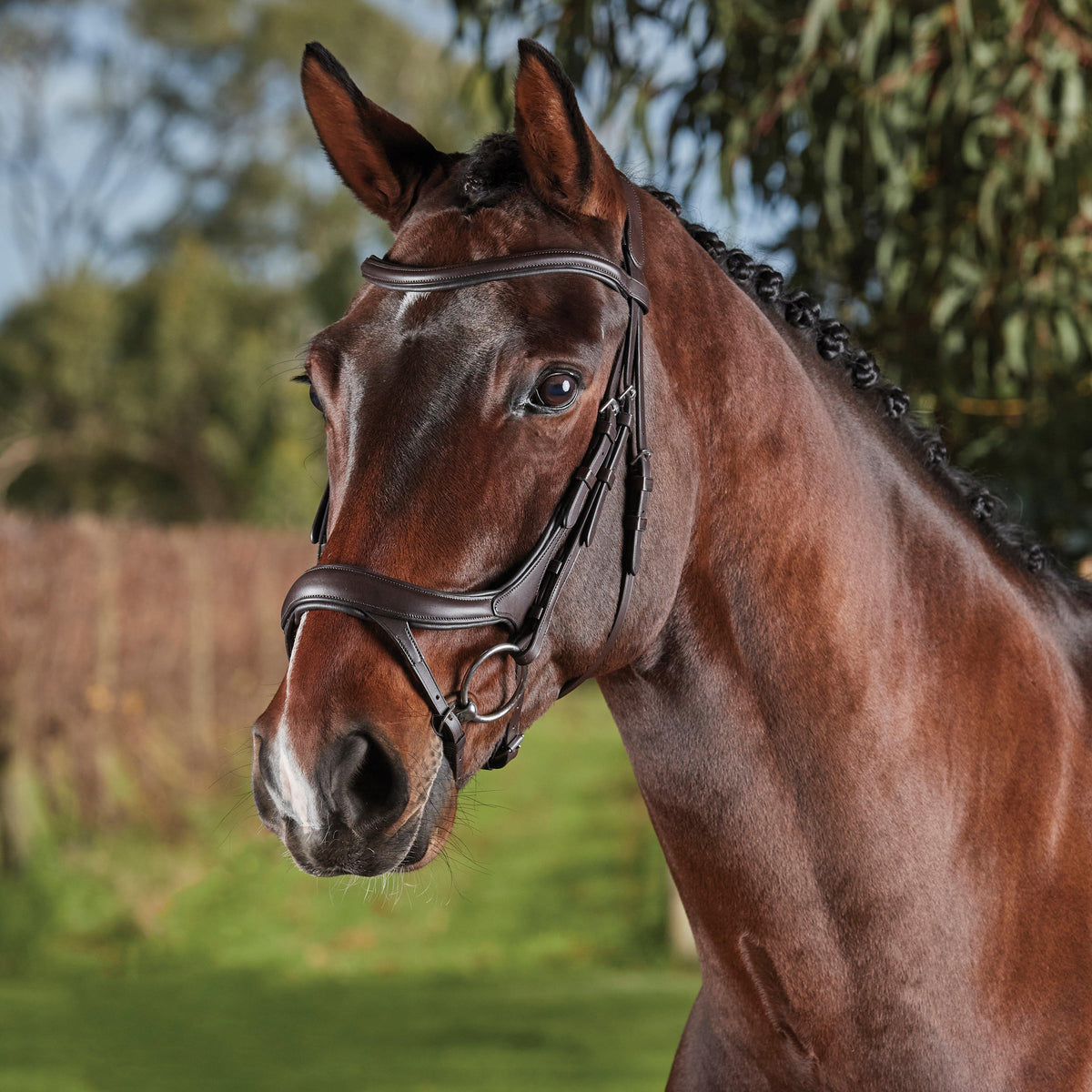 ComFiTec Vogue Anatomical Bridle Brown
