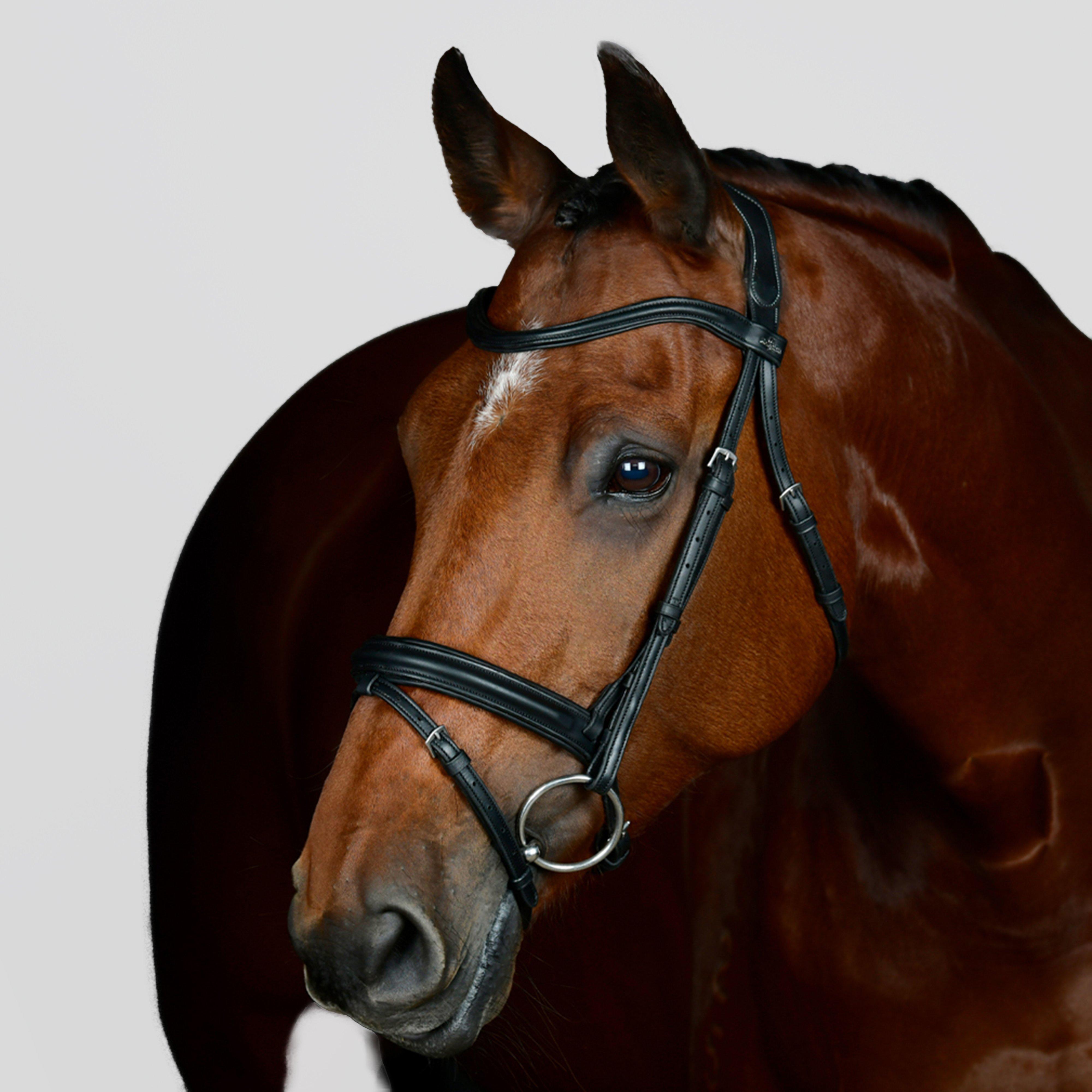 ComFiTec Opulux Plain Padded Hanoverian Flash Bridle Black