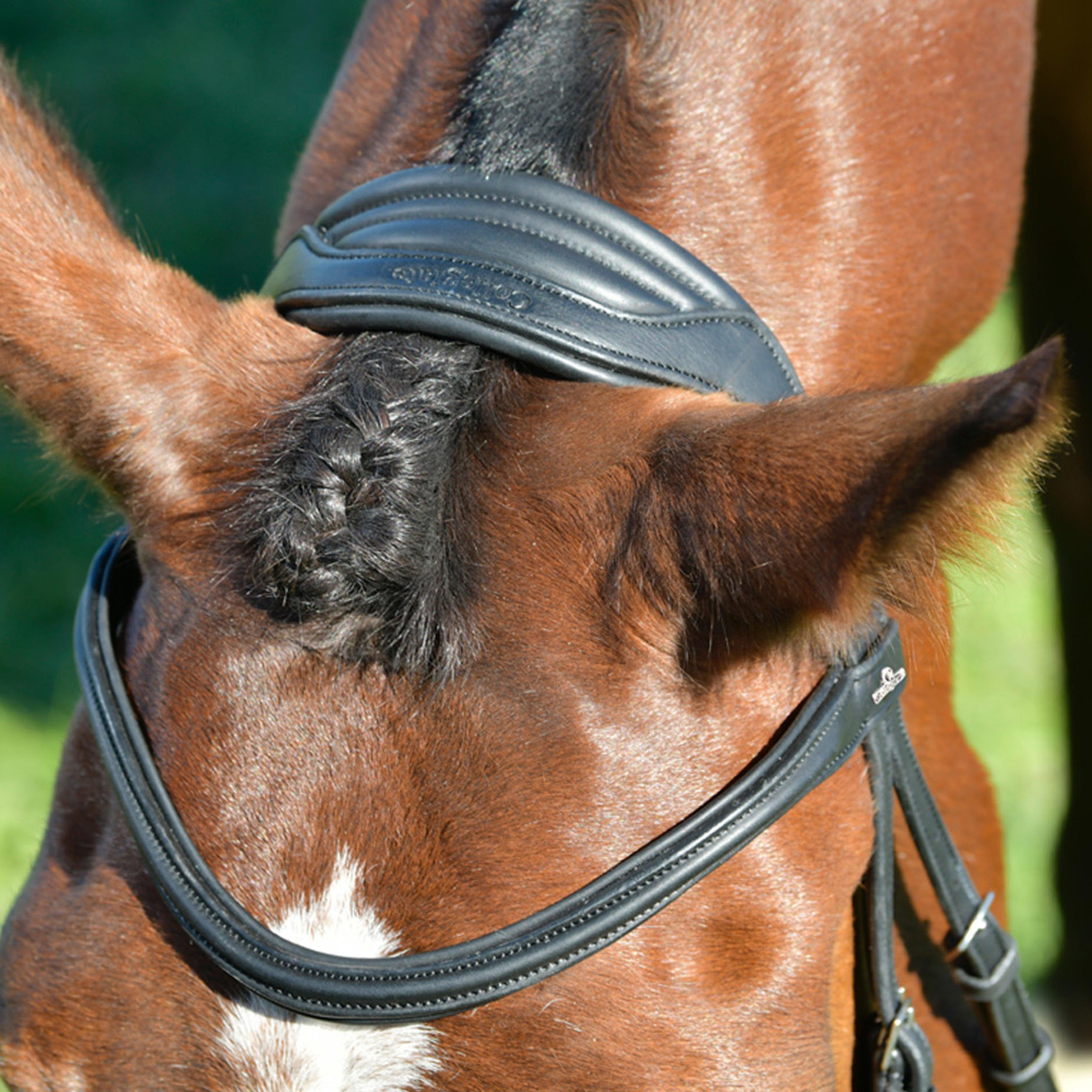 ComFiTec Opulux Plain Padded Hanoverian Flash Bridle Black