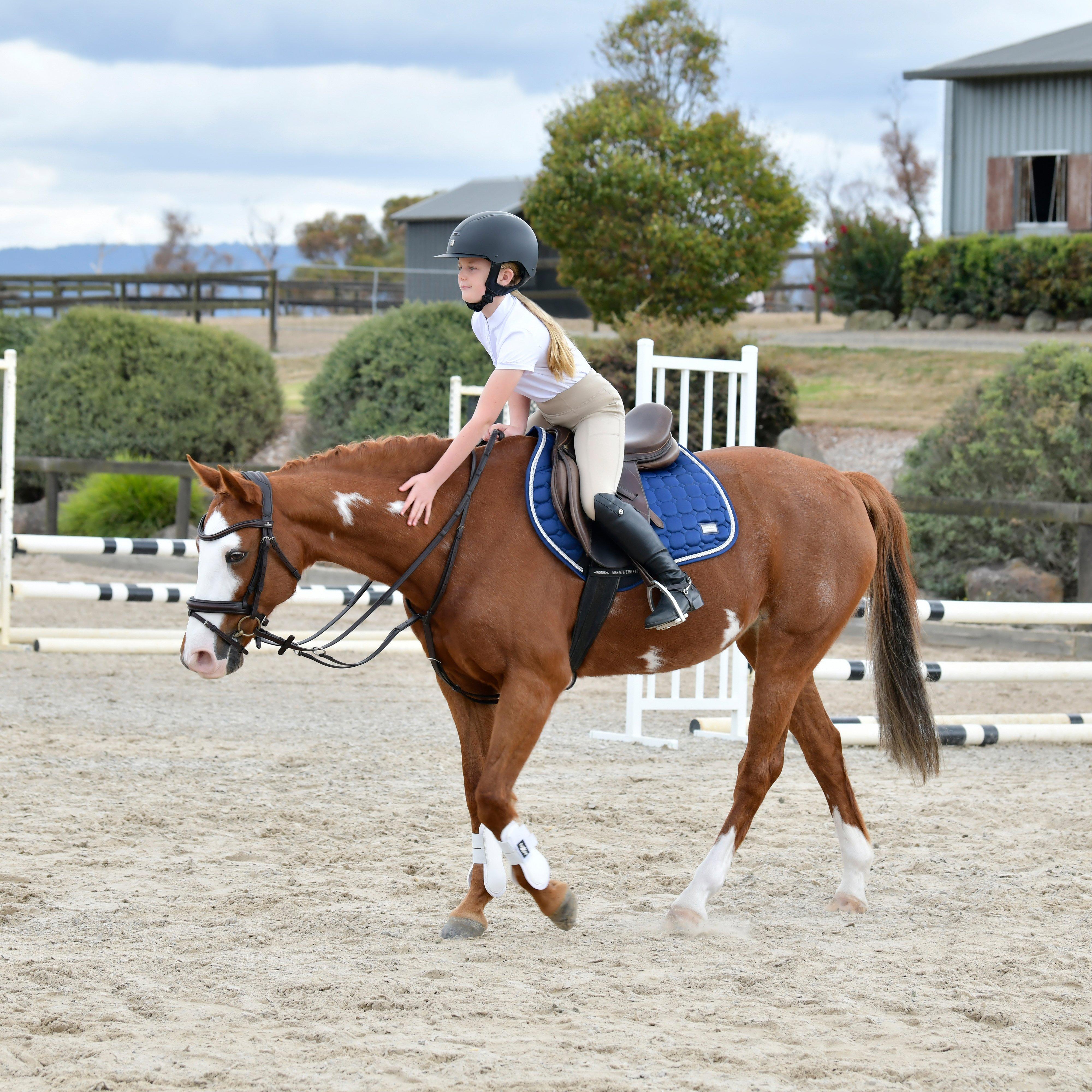 ComFiTec Opulux Plain Padded Hanoverian Flash Bridle Black