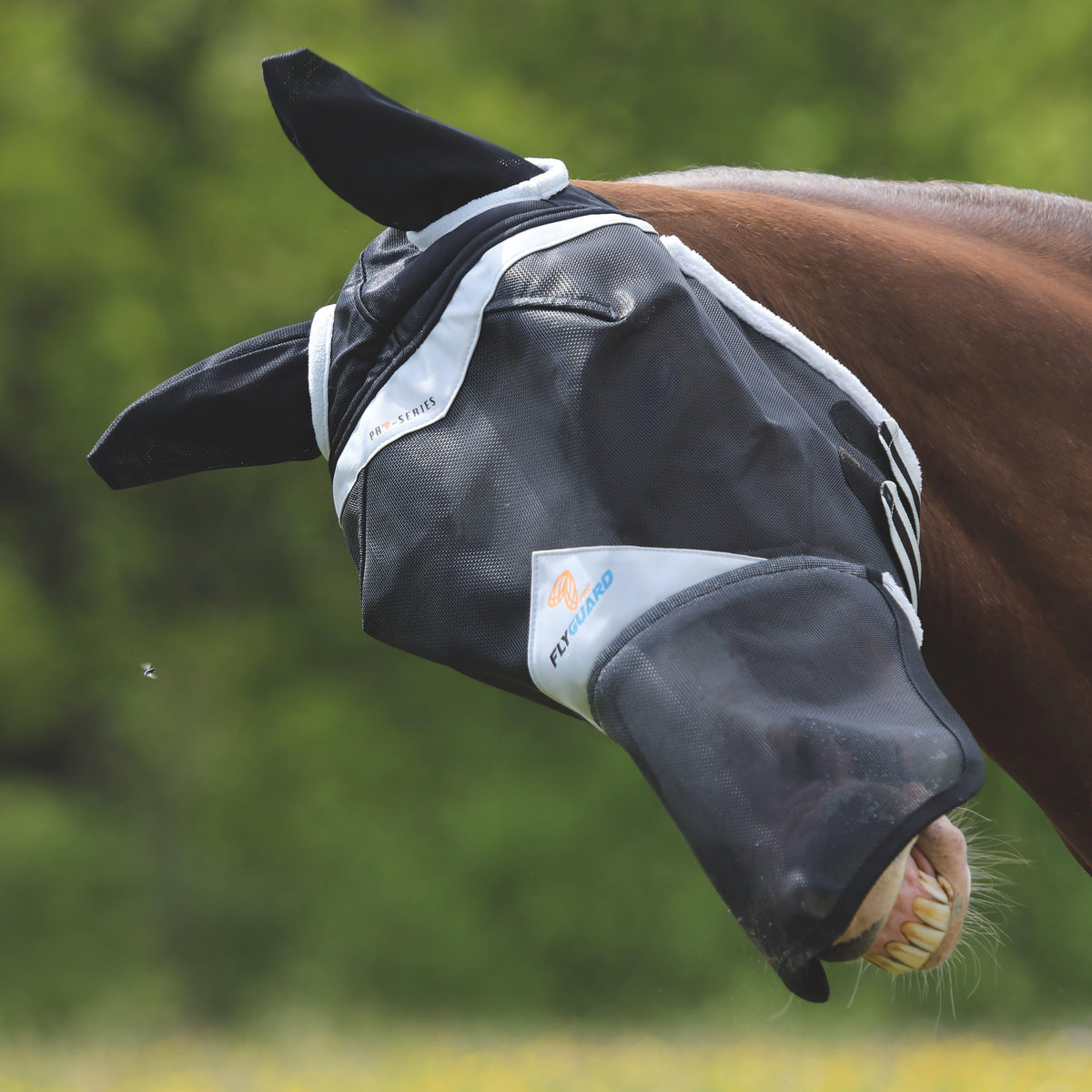 FlyGuard Pro Fine Mesh Fly Mask With Ears & Nose Black