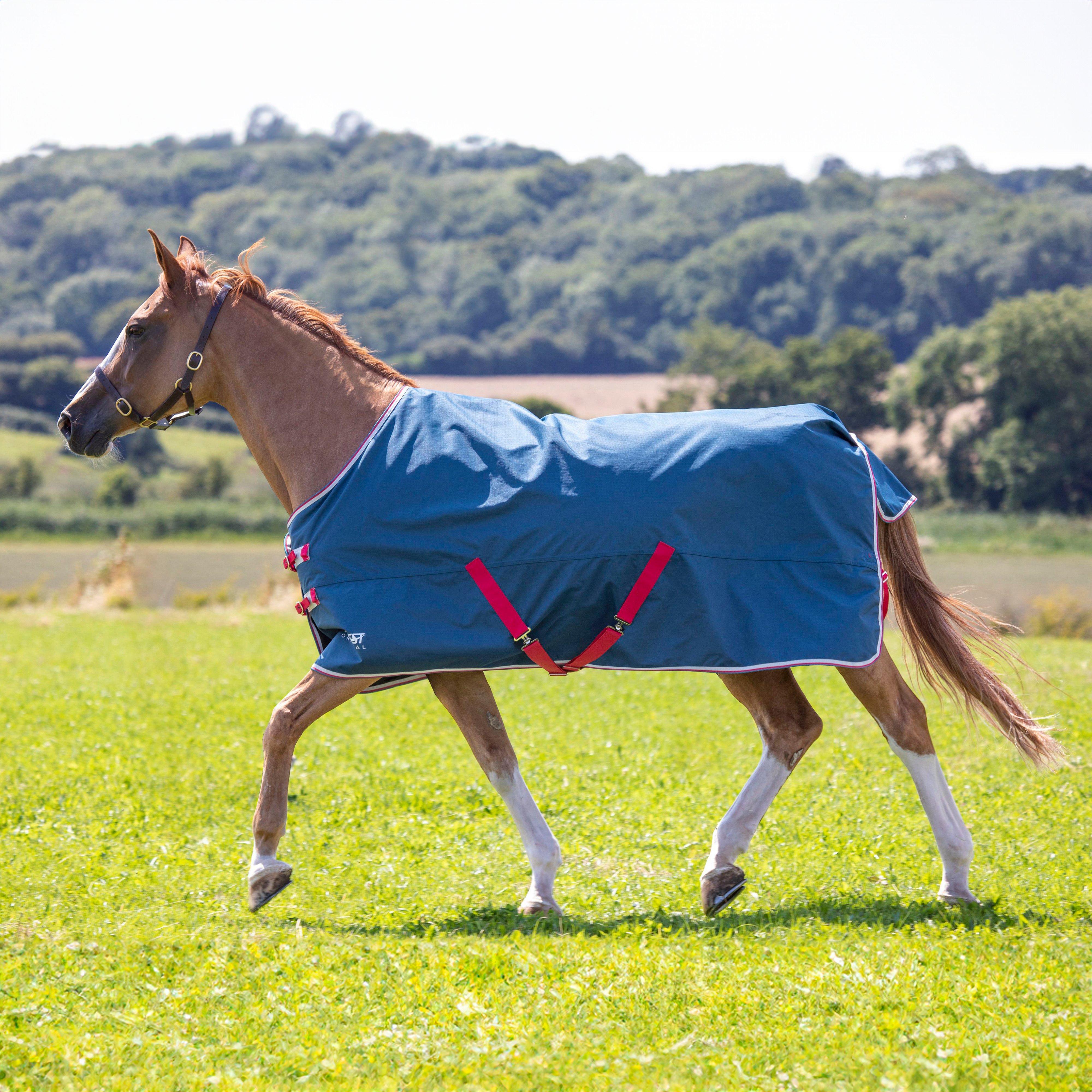 Shires Tempest Plus Lite Stable Rug - Horse from Fearns Farm UK Shires Tempest Plus Lite Stable Rug - Horse from Fearns Farm UK