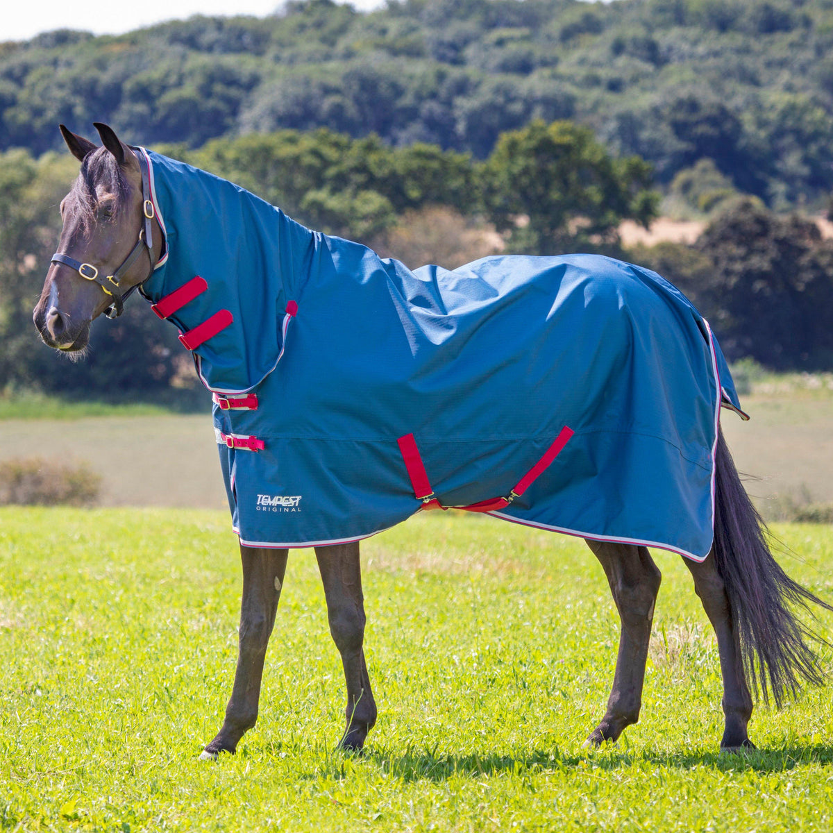 Tempest Original Lite 0g Combo Neck Turnout Rug Teal