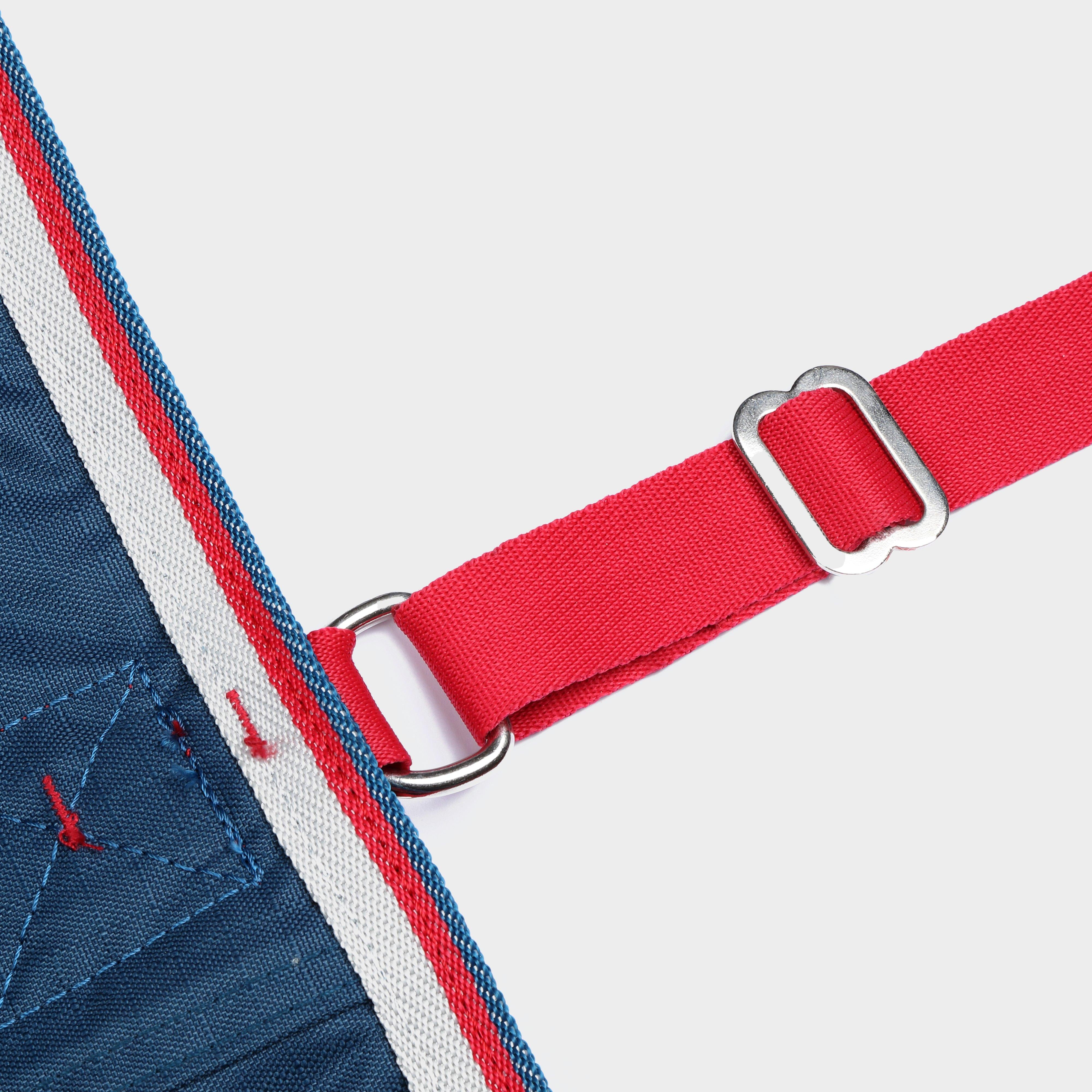 Tempest Original Lite 0g Combo Neck Turnout Rug Teal