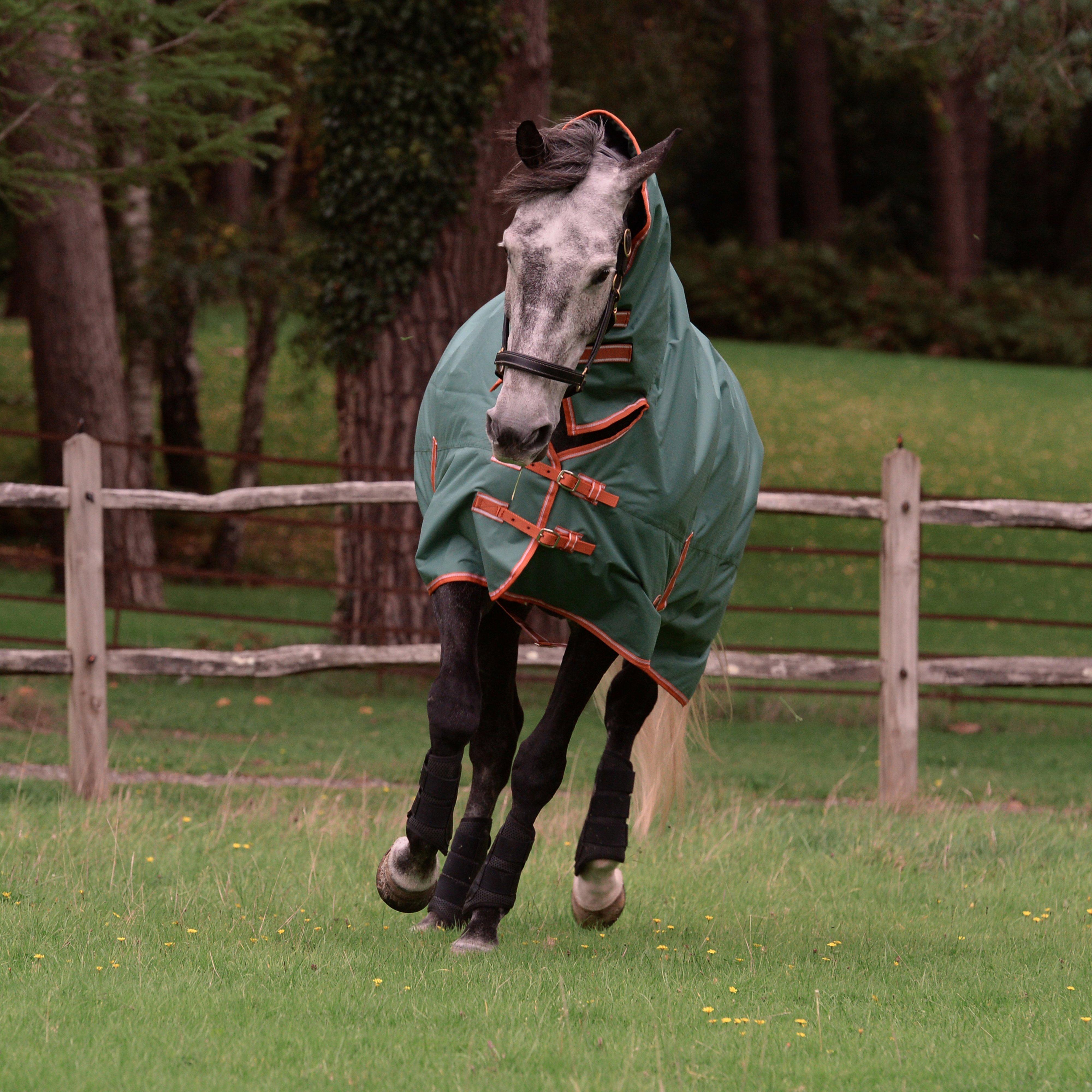 ComFiTec Tyro Combo Neck 50g Lite Plus Turnout Rug Green/Burnt Orange/White