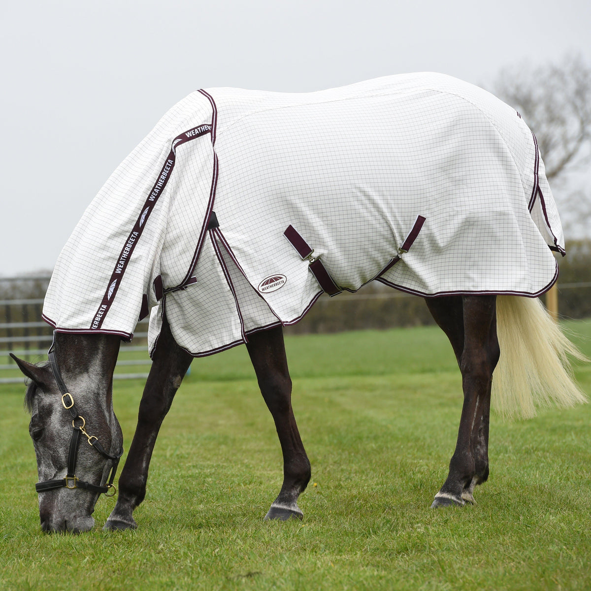 Hybrid Seasons Combo Neck Sheet White/Maroon