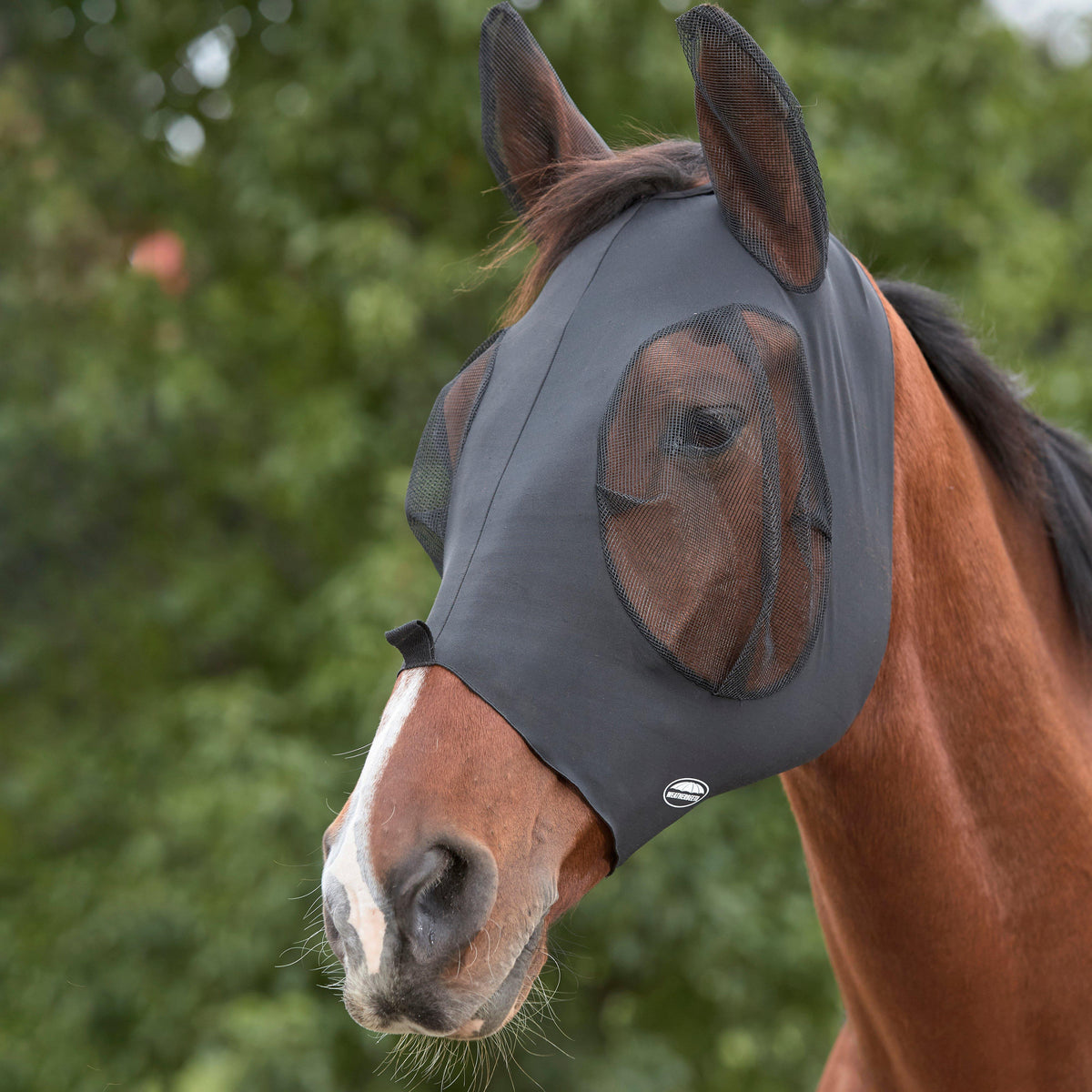 Deluxe Stretch Eye Saver With Ears Black