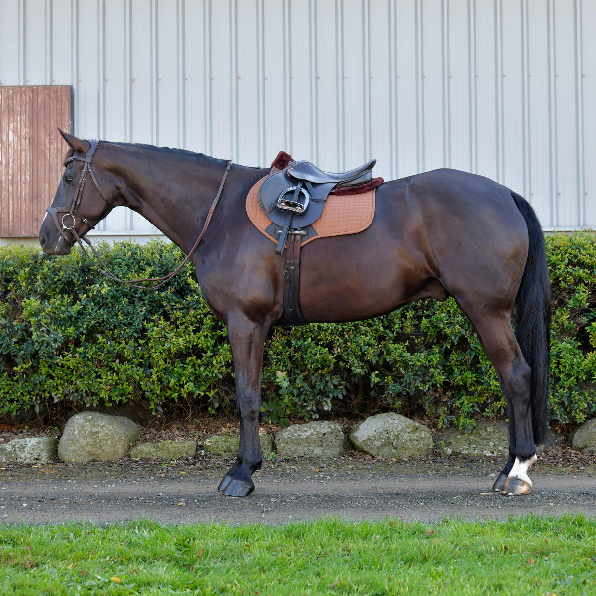 Prime Comfy Fleece Jump Saddle Pad Brown