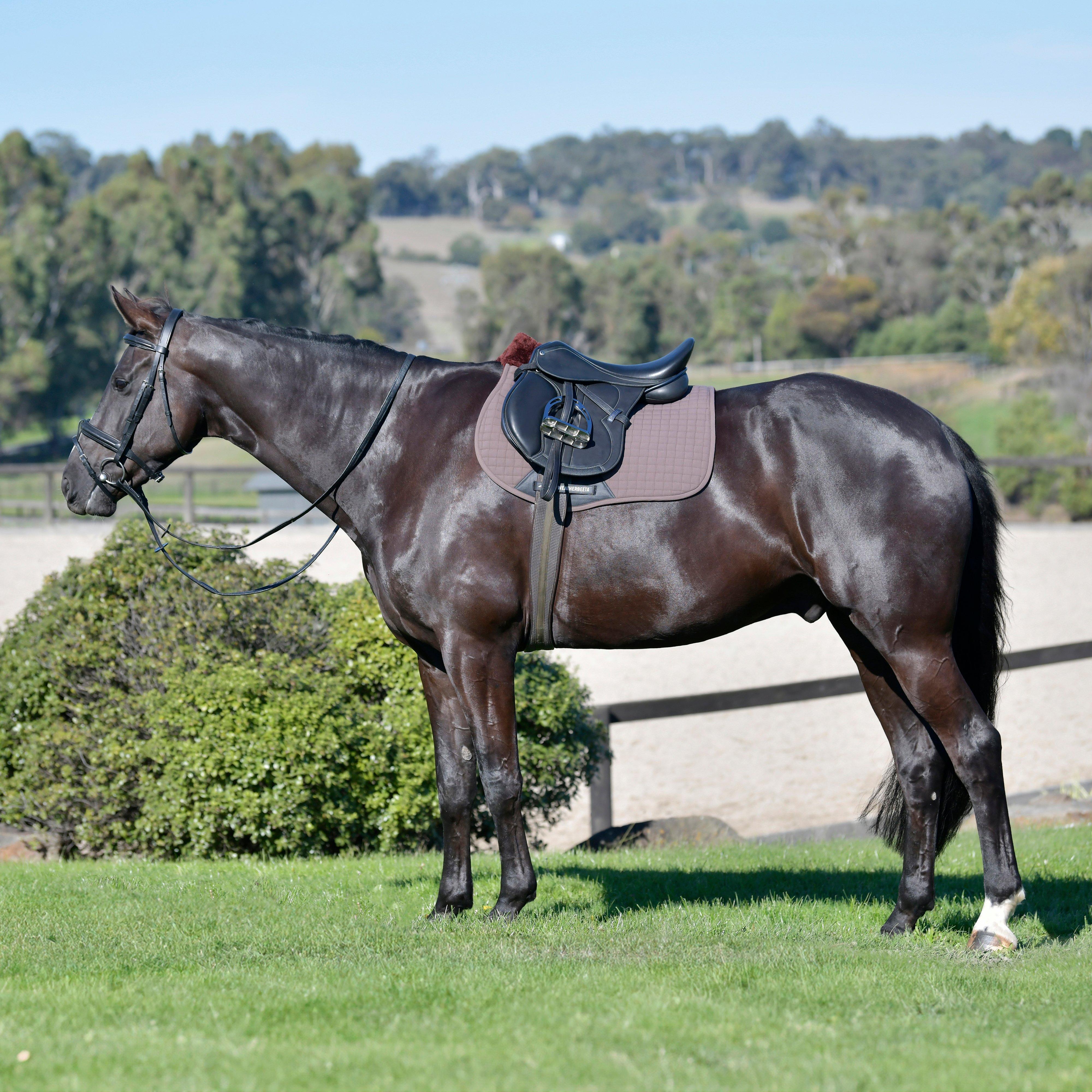 Prime Comfy Fleece All Purpose Saddle Pad Brown