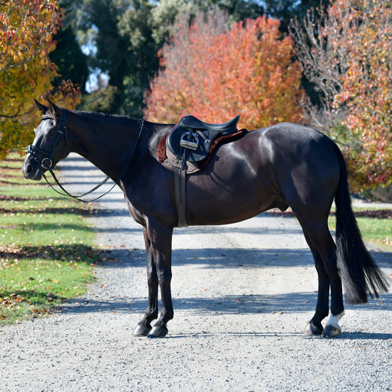 Prime Comfy Fleece All Purpose Numnah Brown