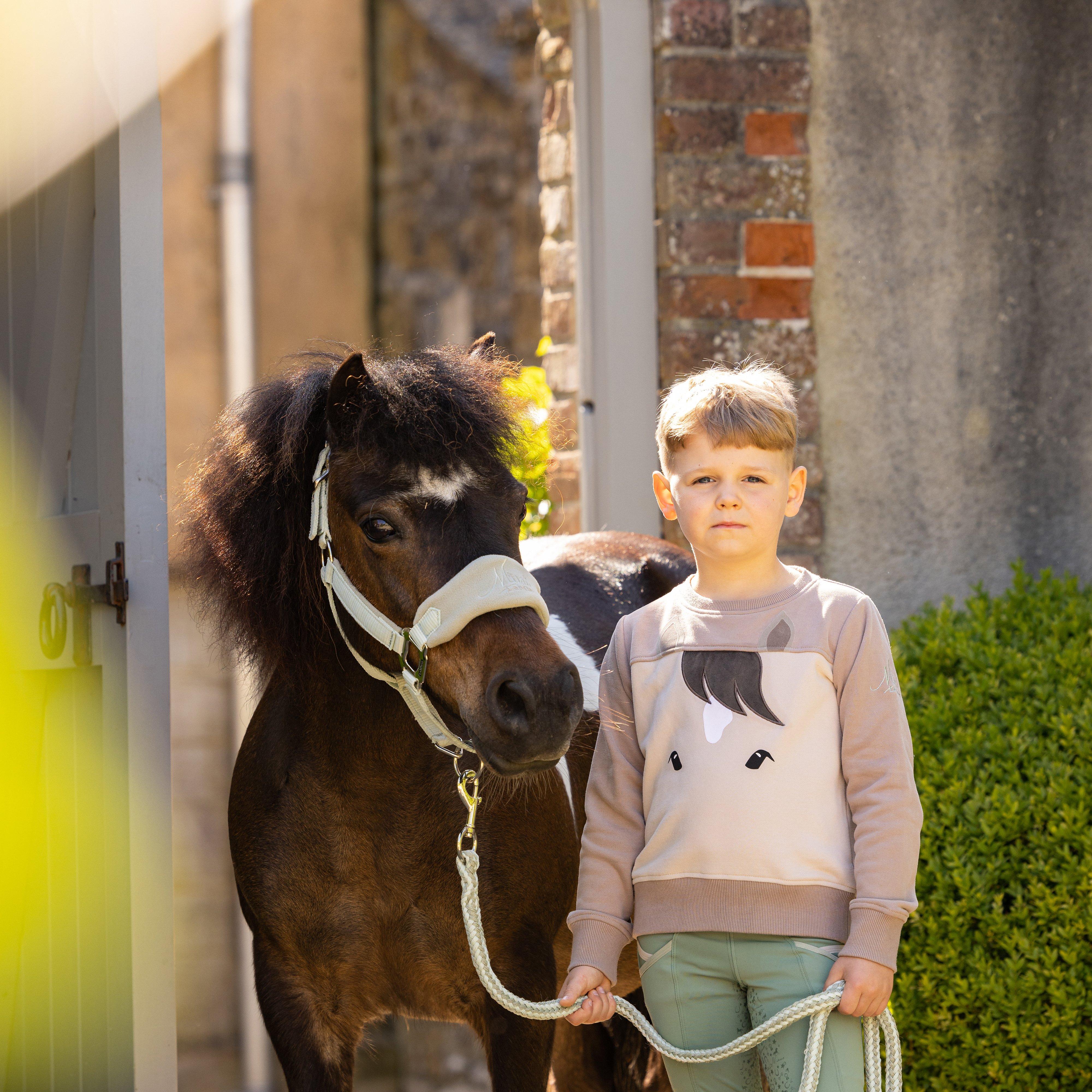 Mini Pony Sweatshirt Stone