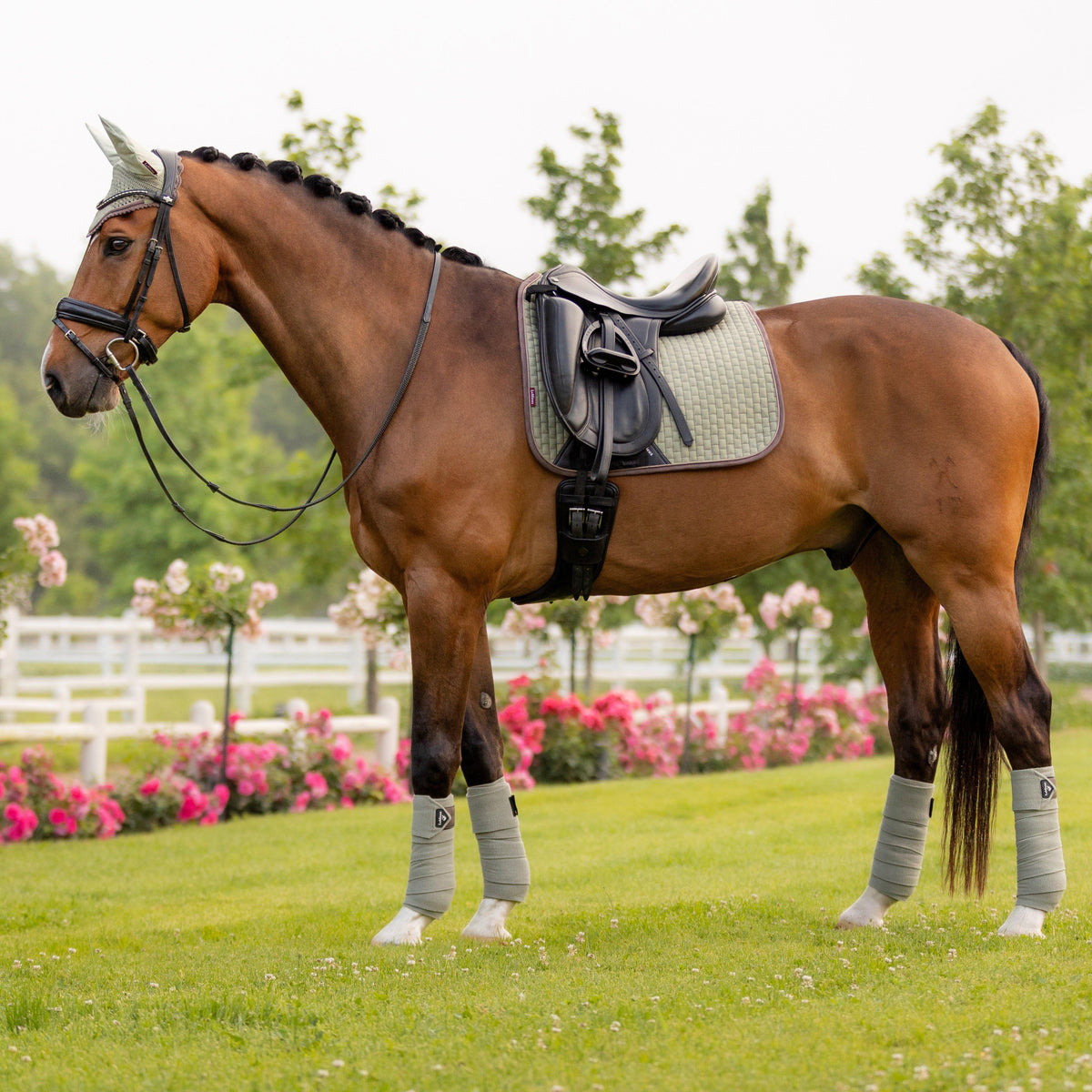 Suede Dressage Saddle Pad Fern