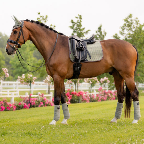 Suede Dressage Saddle Pad Fern