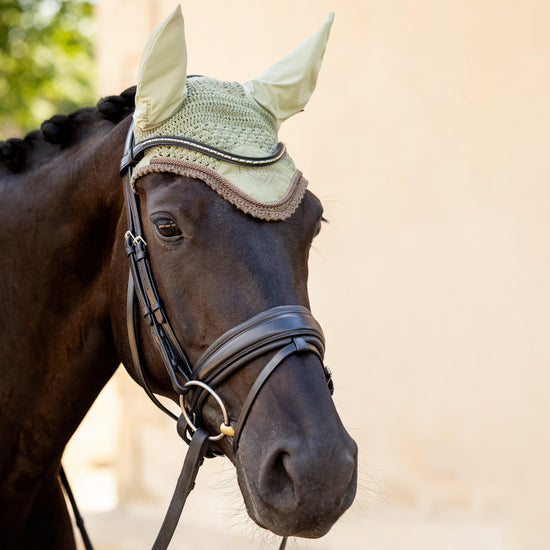 Classic Fly Hood Fern