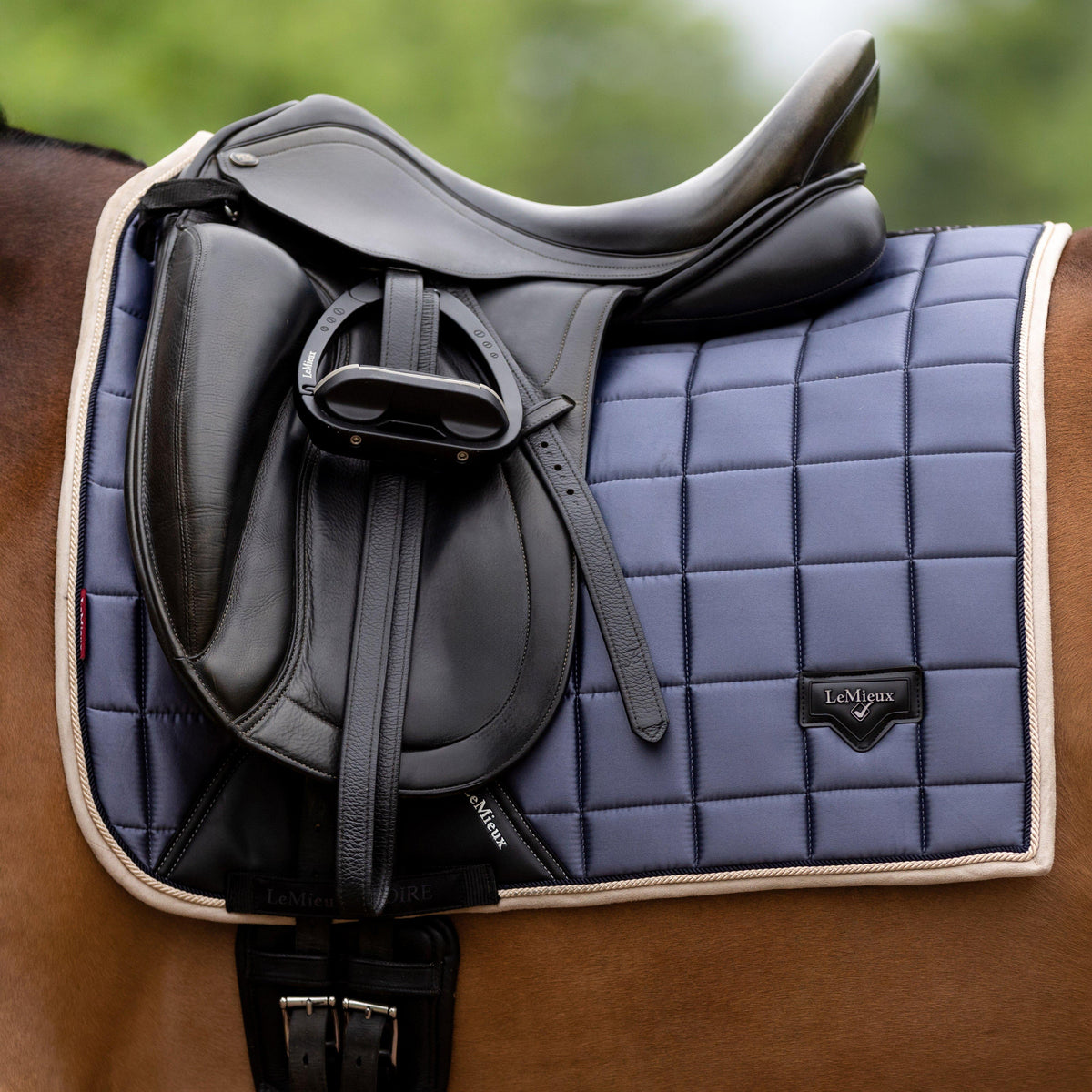 Loire Classic Dressage Saddle Pad Jay Blue