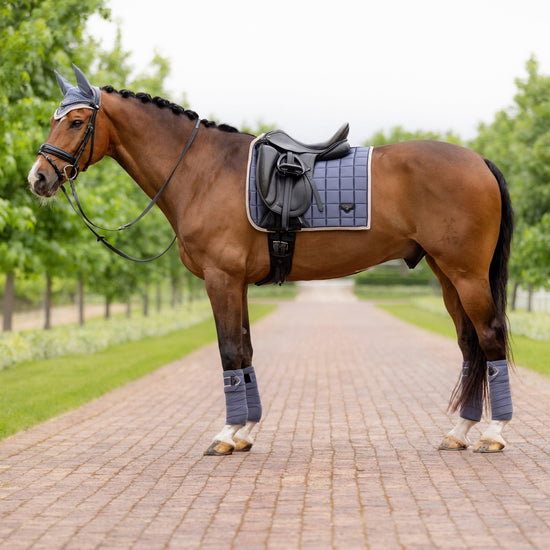 Loire Classic Dressage Saddle Pad Jay Blue