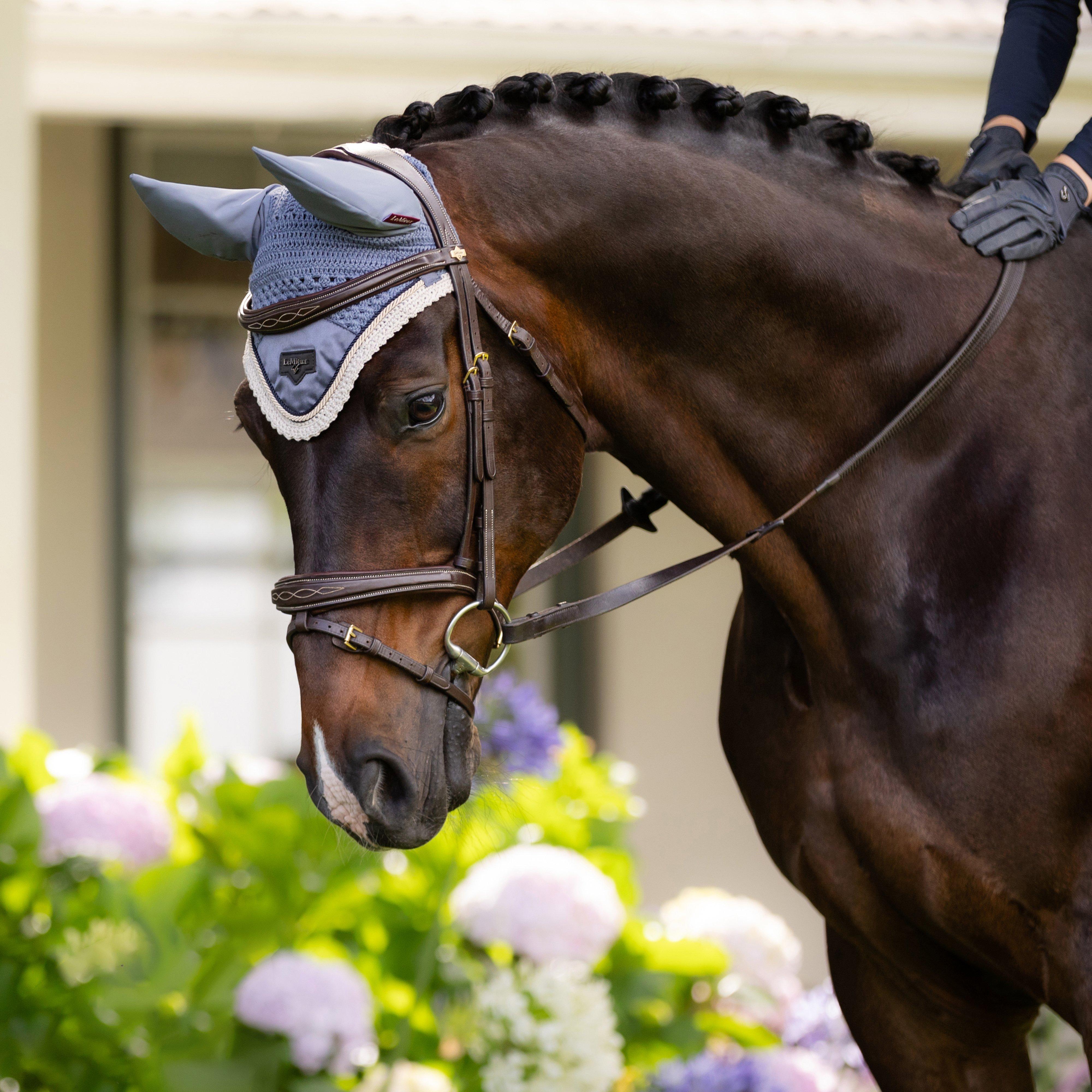 Loire Fly Veil Jay Blue