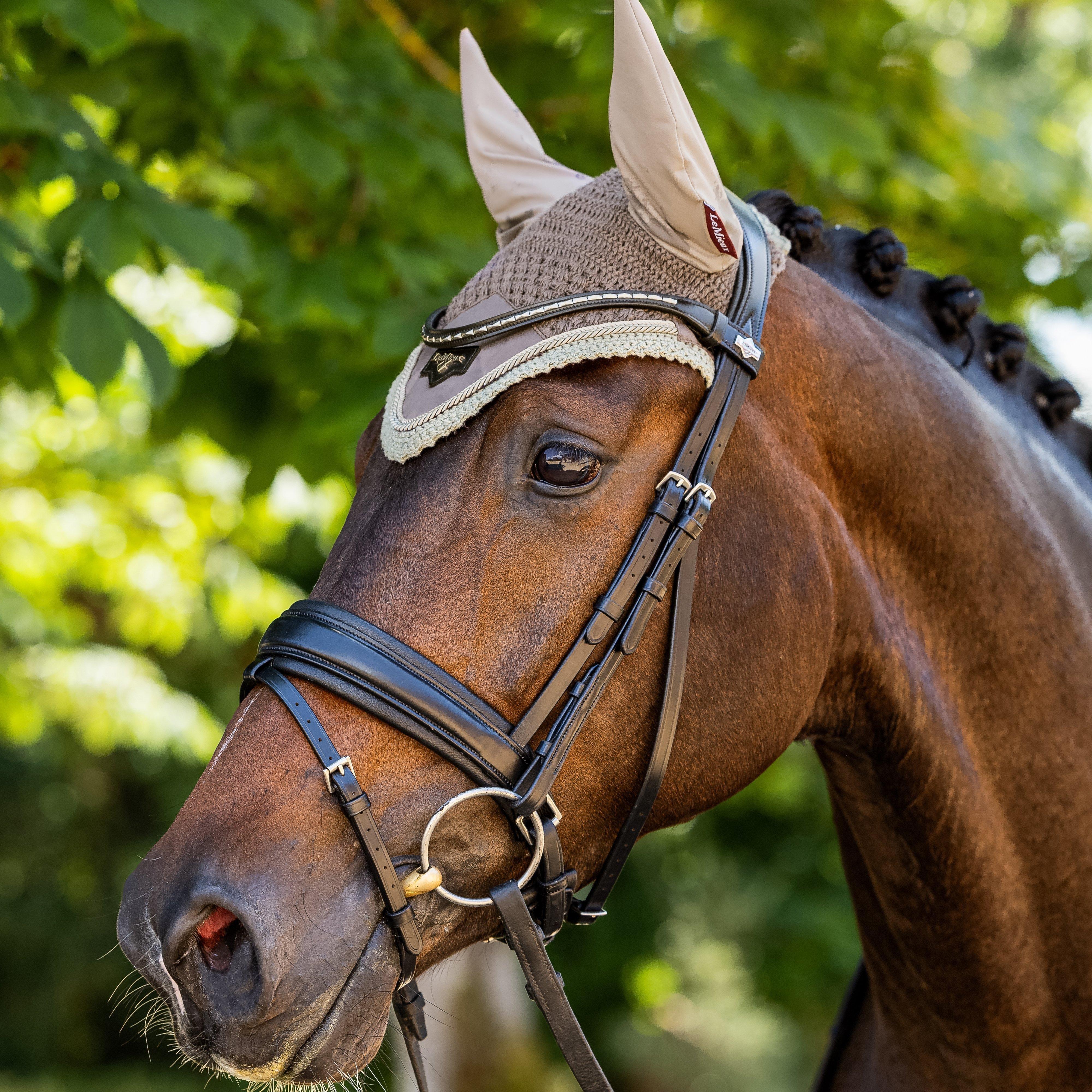 Loire Fly Veil Walnut