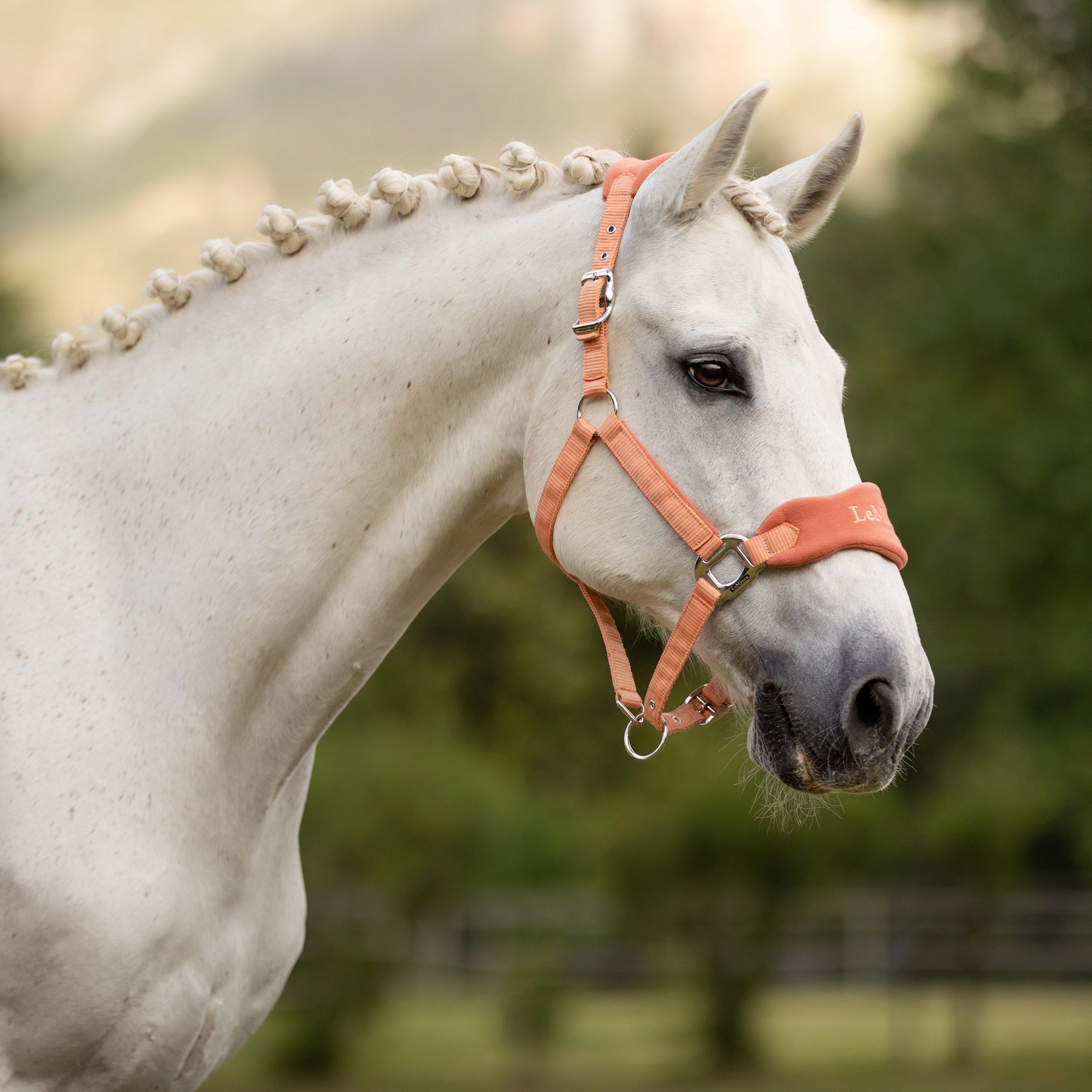 Vogue Headcollar & Leadrope Apricot